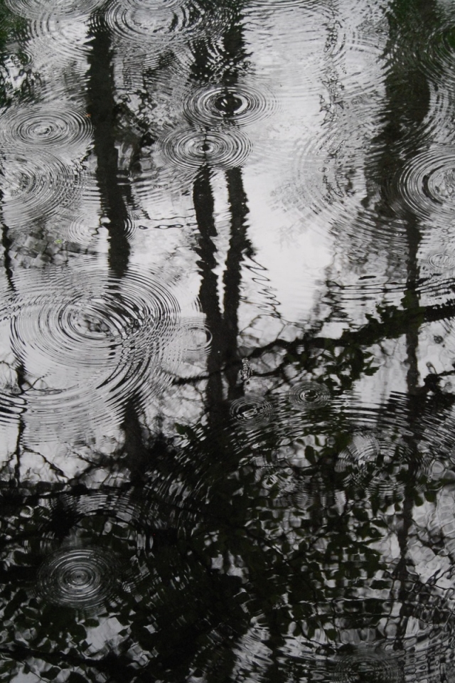 Descarga gratuita de fondo de pantalla para móvil de Lluvia, Blanco Y Negro, Fotografía, Blanco Negro.