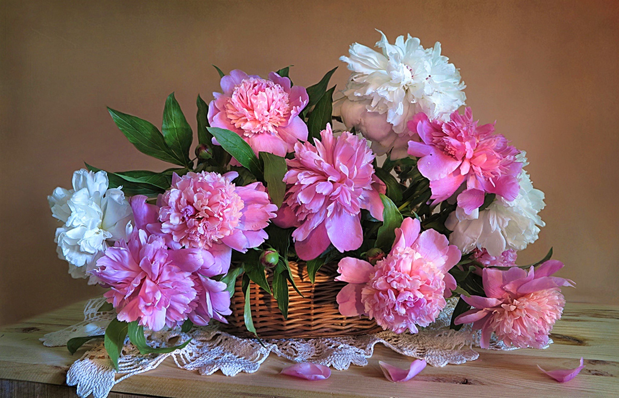 856213壁紙のダウンロードマンメイド, 花, バスケット, 牡丹, ピンクの花, 白い花-スクリーンセーバーと写真を無料で