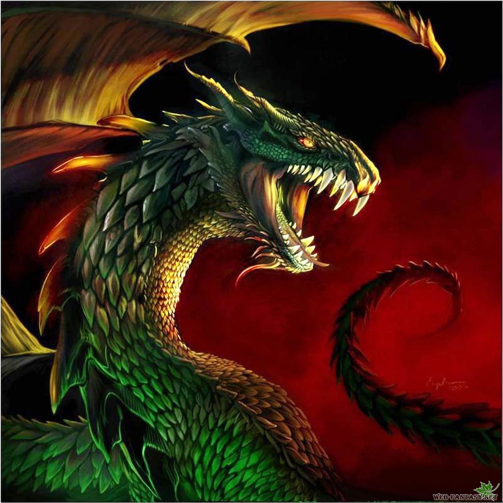 dragons, fantasy