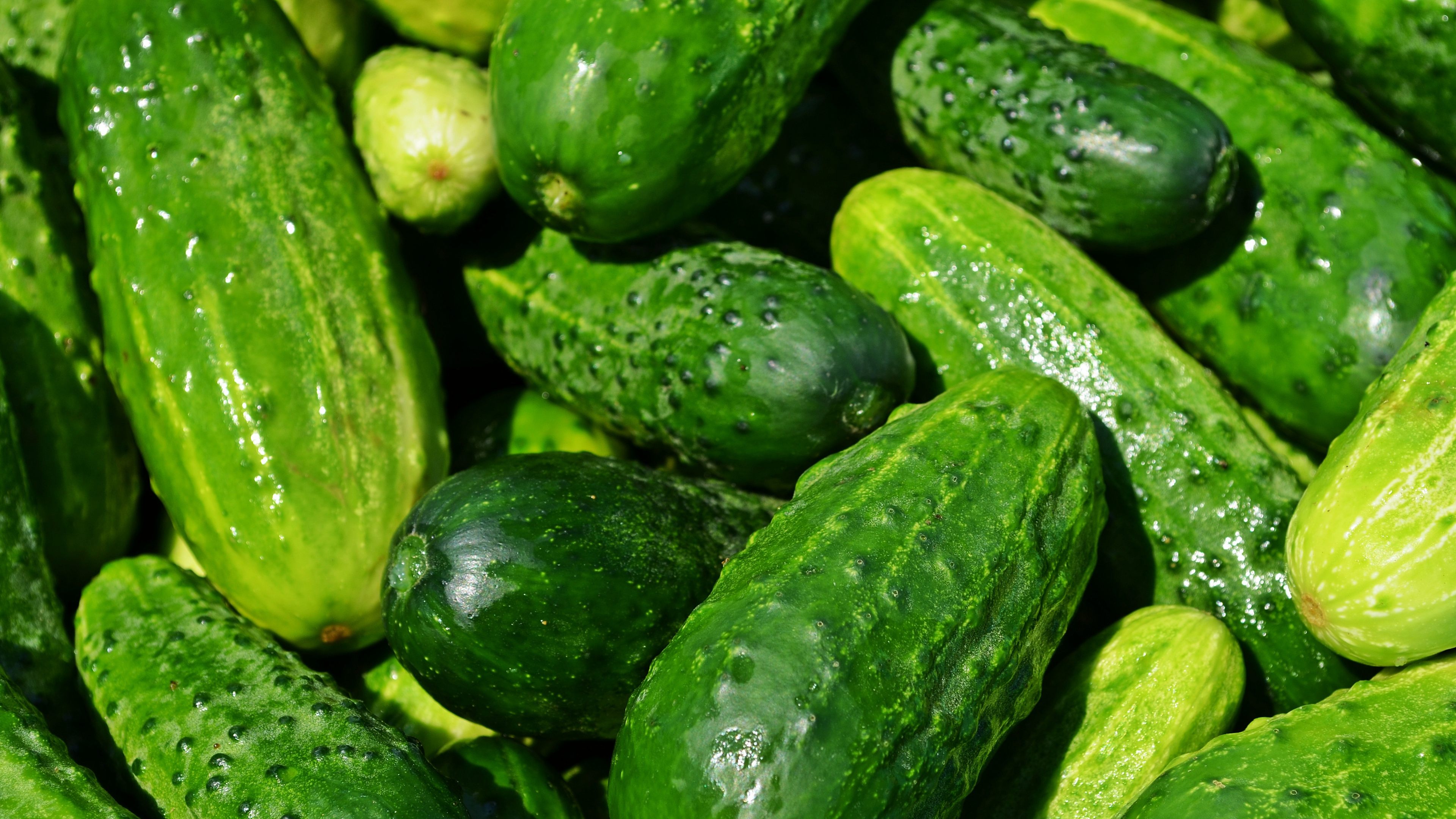 cucumber, food