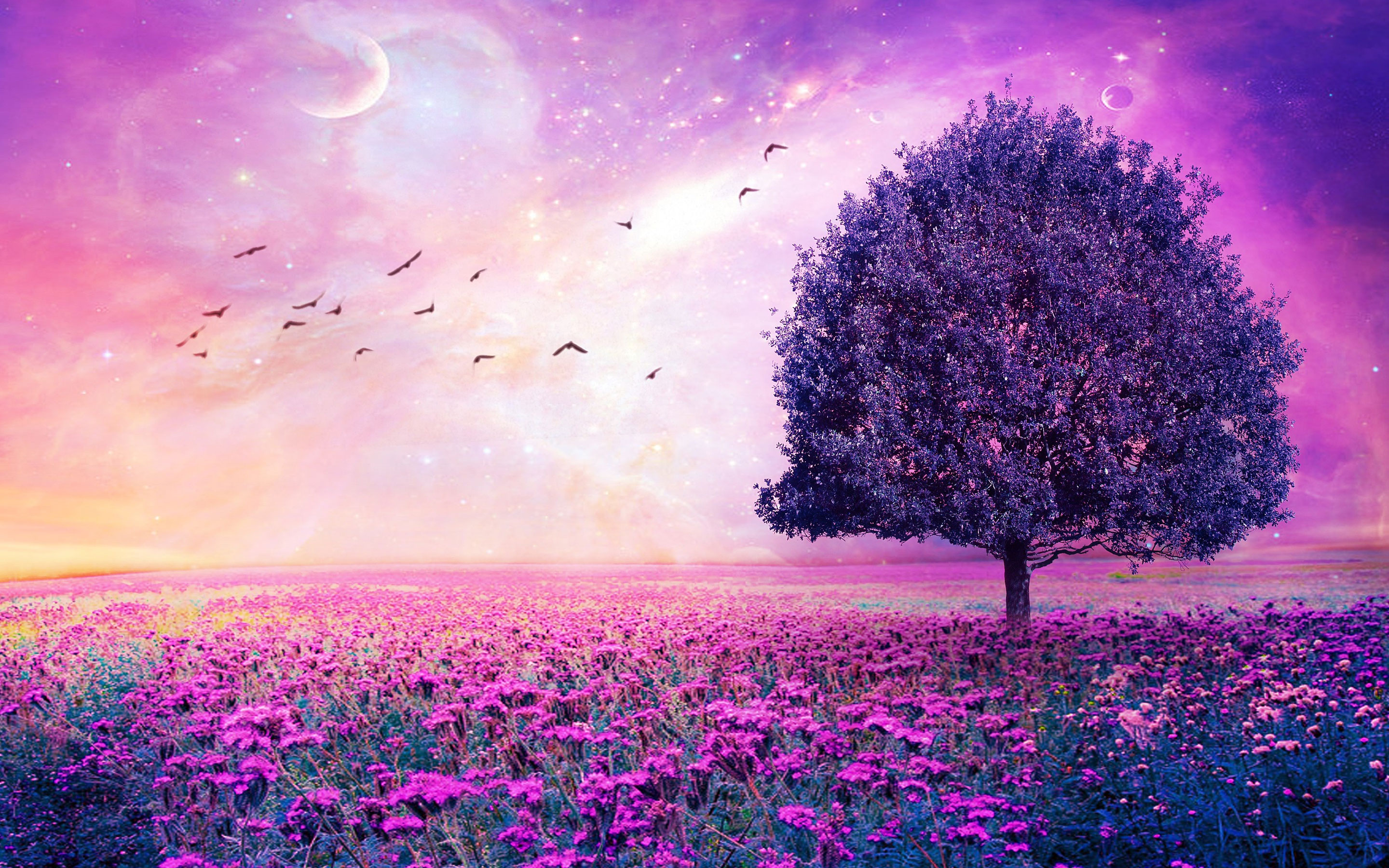 686065 скачать обои фиолетовый цветок, мечтательный мир, природа, дерево, земля/природа, поле, цветок, одинокое дерево - заставки и картинки бесплатно