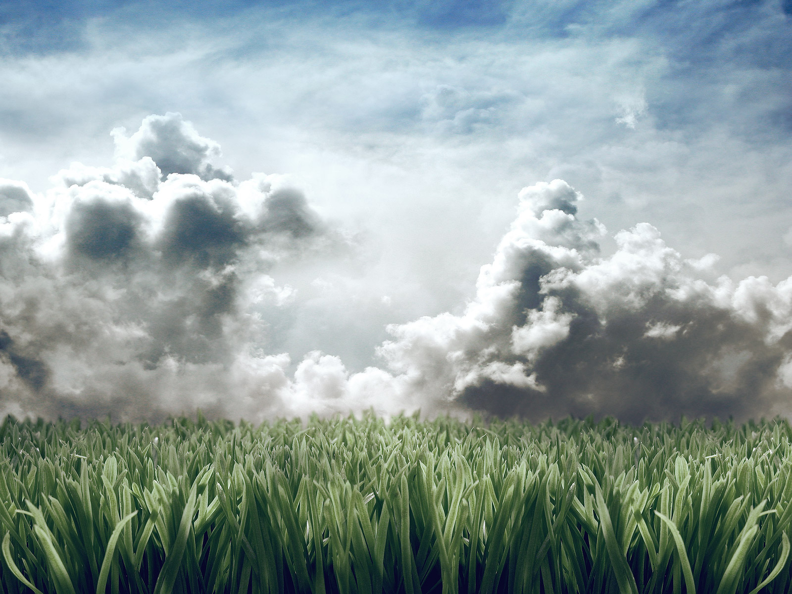 Download mobile wallpaper Landscape, Grass, Sky, Earth, Field, Cloud for free.