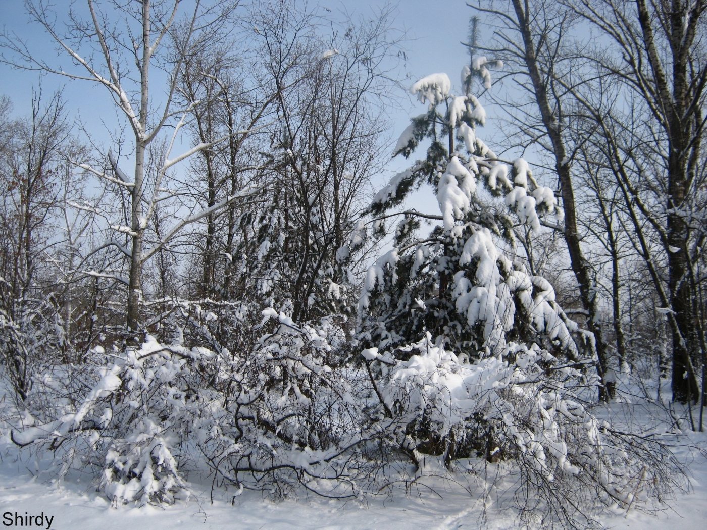 Завантажити шпалери безкоштовно Пейзаж, Зима картинка на робочий стіл ПК