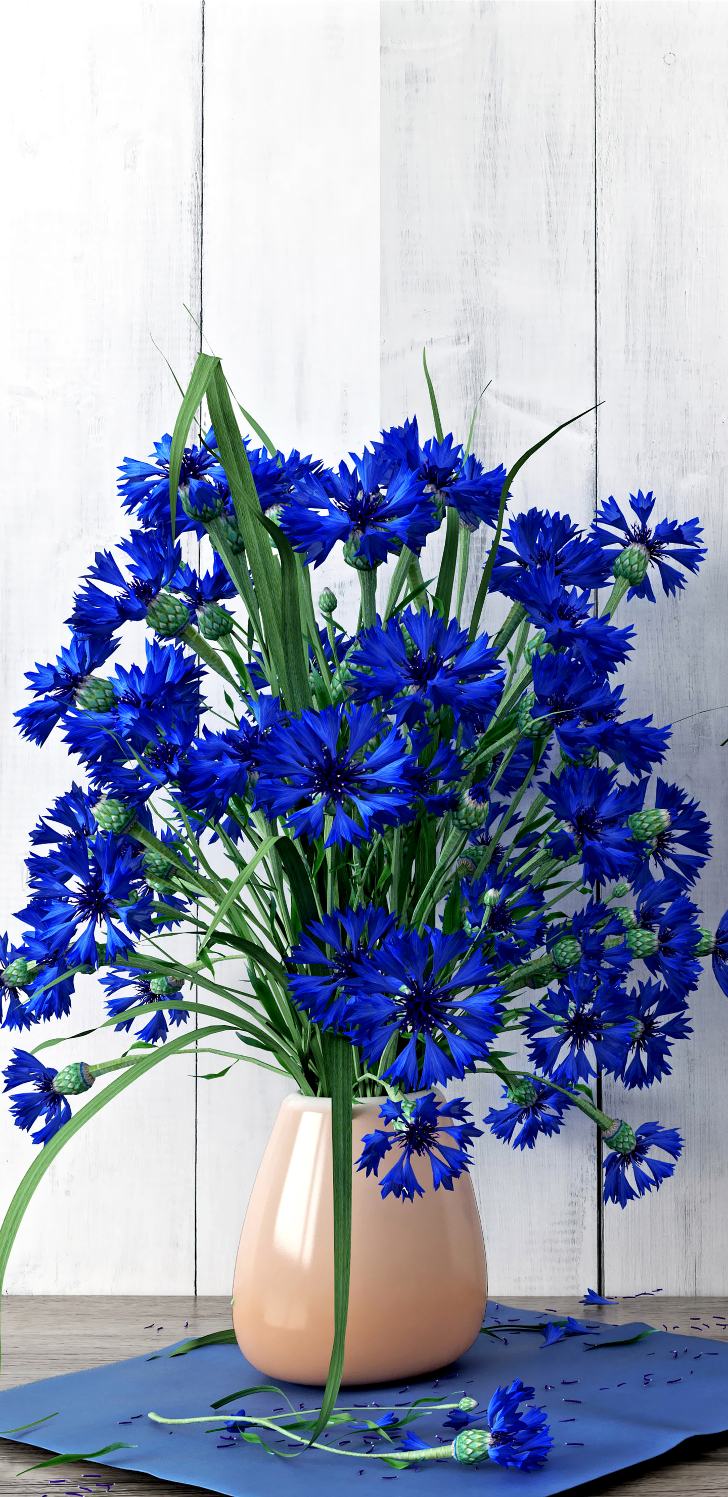 Descarga gratuita de fondo de pantalla para móvil de Flor, Jarrón, Fotografía, Florecimiento De Maíz, Bodegón, Flor Azul.