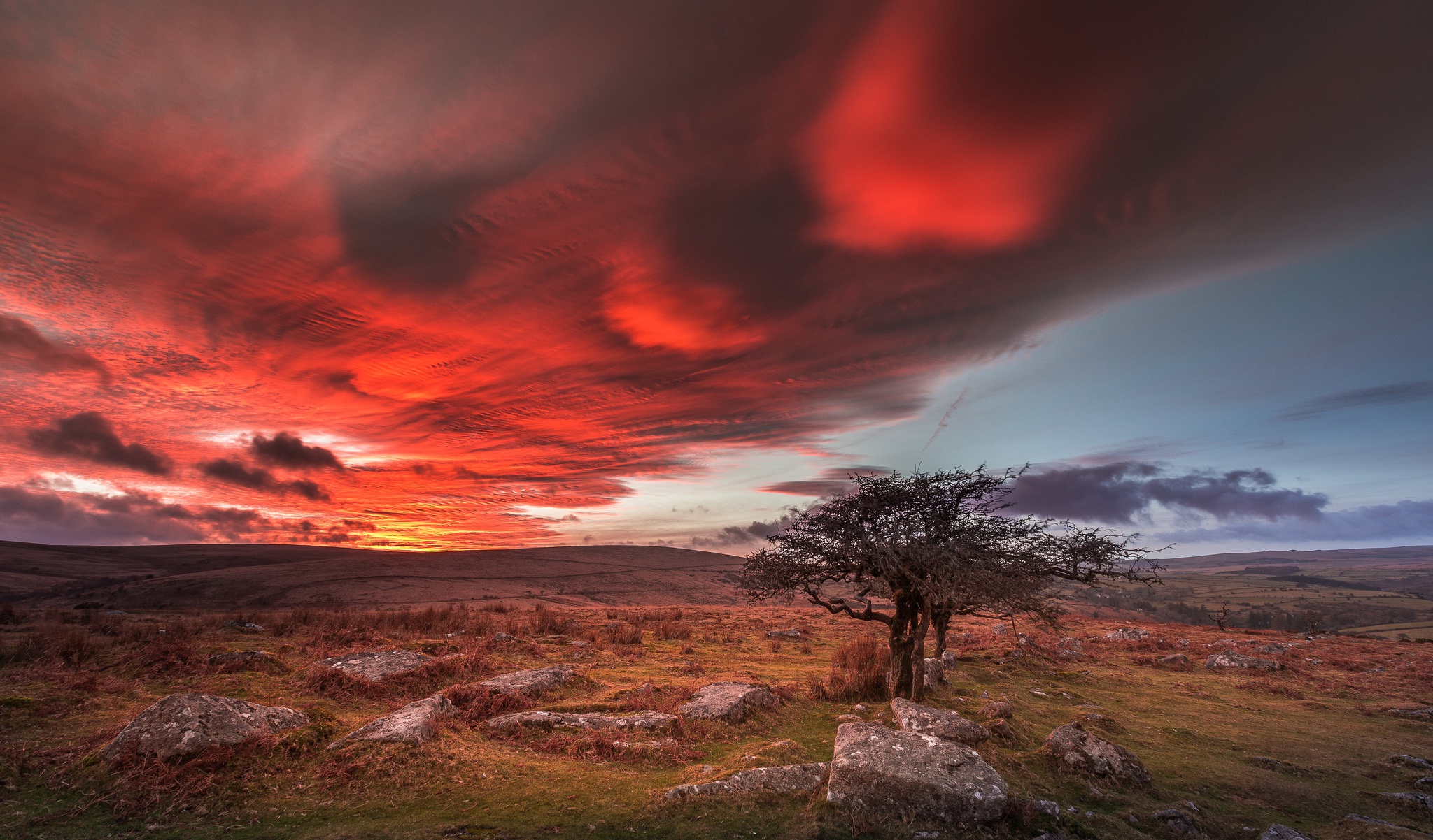 Descarga gratuita de fondo de pantalla para móvil de Paisaje, Naturaleza, Cielo, Árbol, Nube, Tierra/naturaleza.