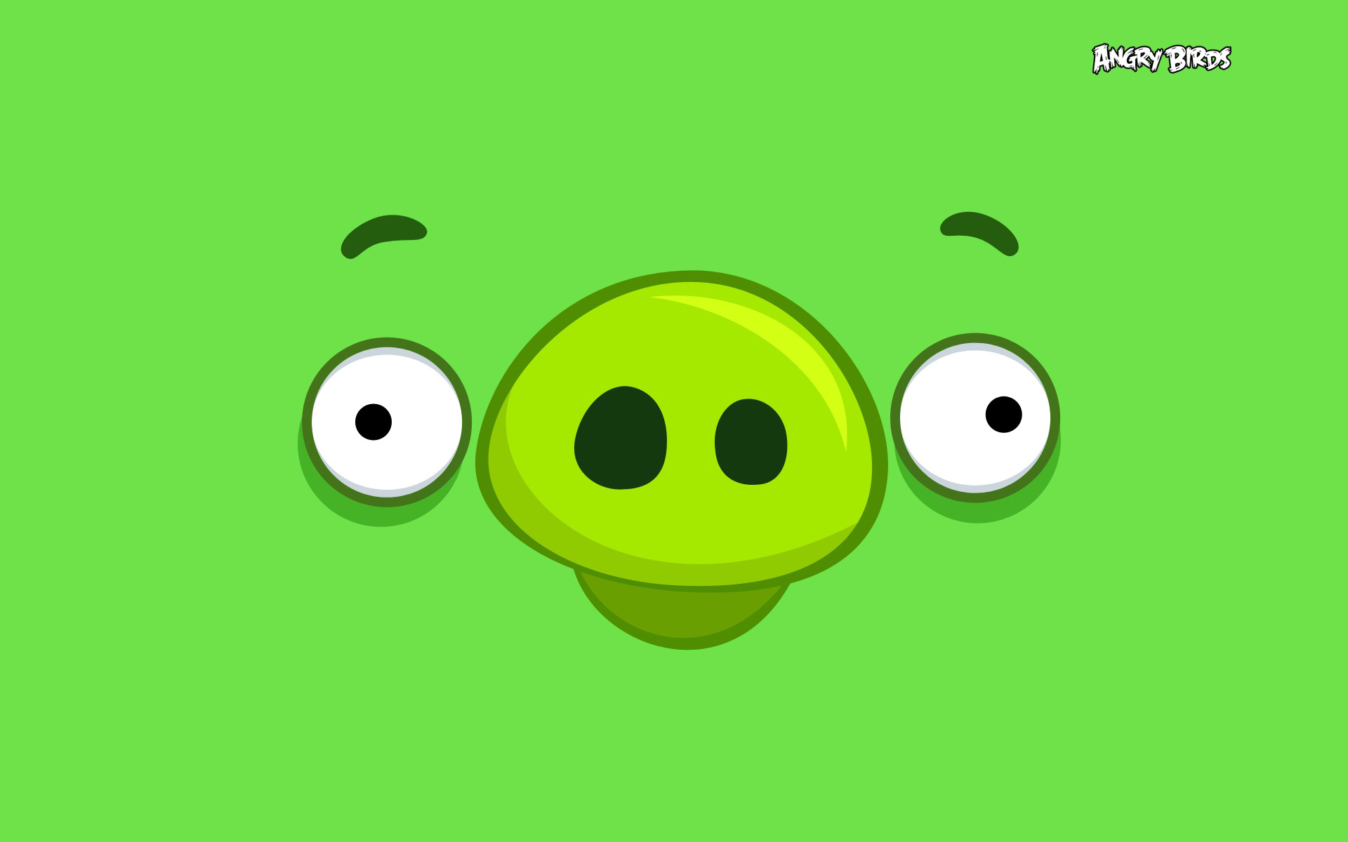 angry birds, games, green Full HD