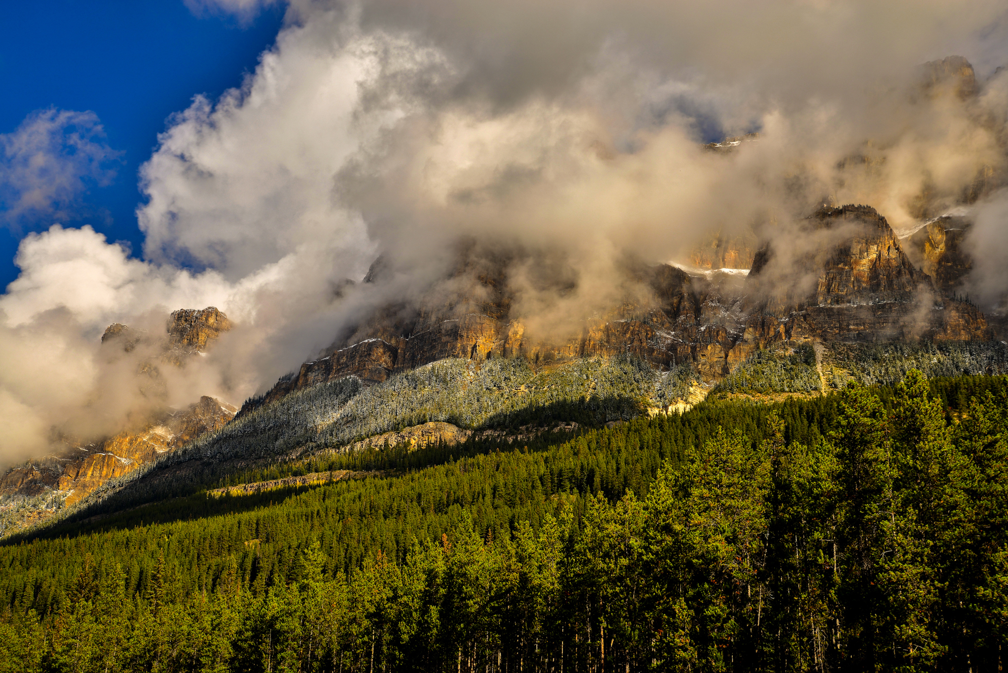 Descarga gratis la imagen Naturaleza, Montañas, Montaña, Canadá, Bosque, Acantilado, Nube, Parque Nacional Banff, Tierra/naturaleza en el escritorio de tu PC