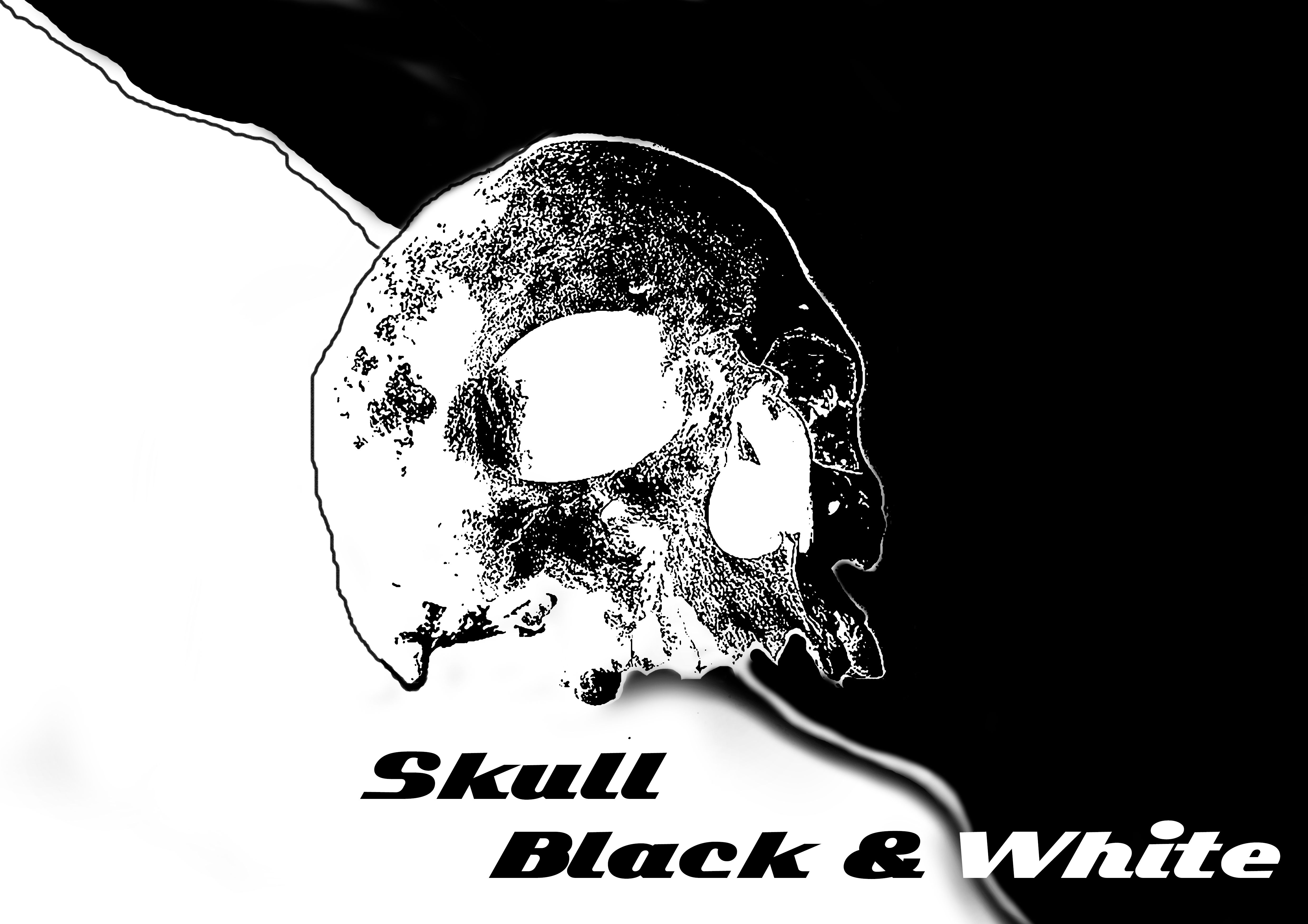 Download mobile wallpaper Dark, Skull, Black & White for free.