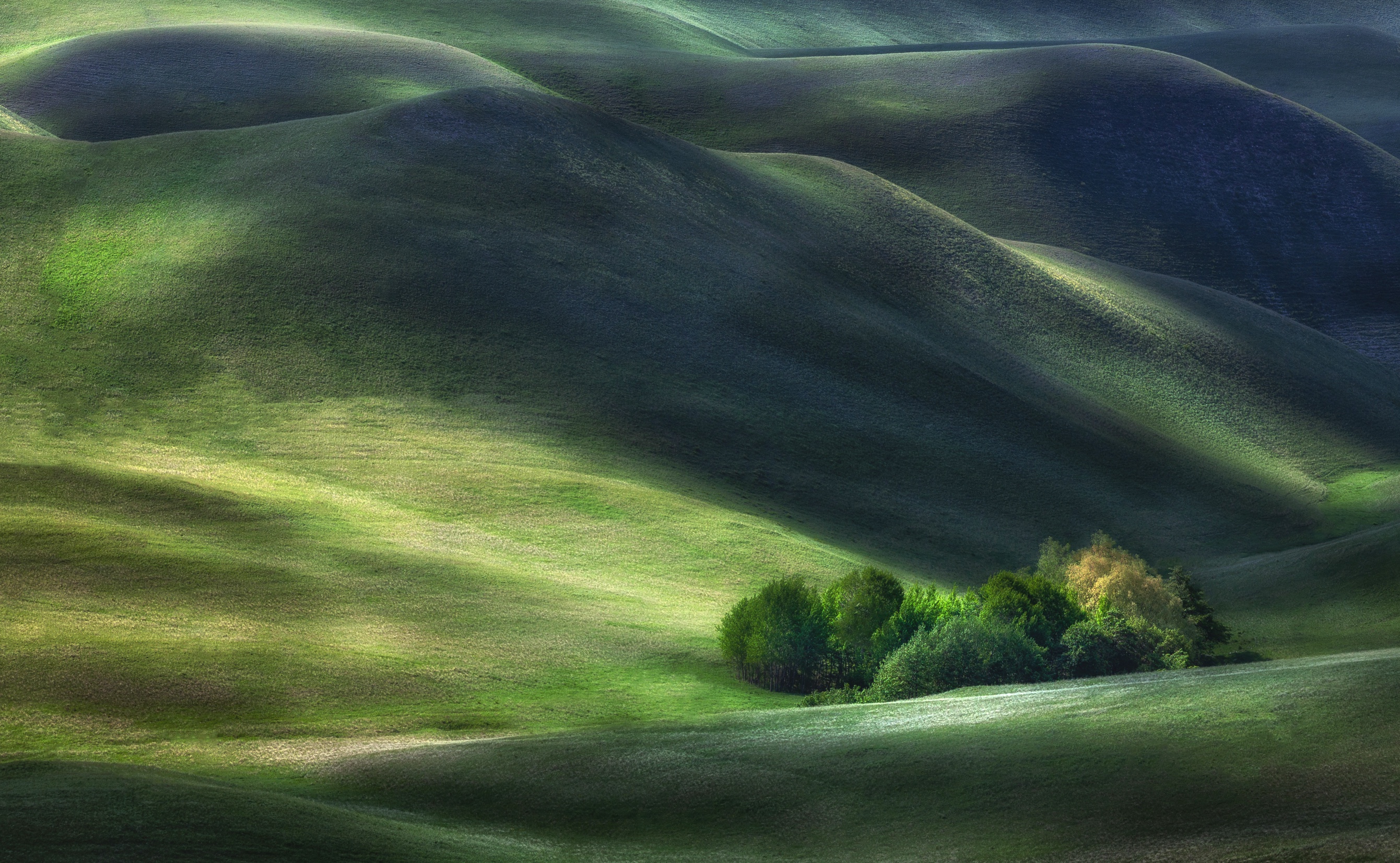 Free download wallpaper Landscape, Nature, Vegetation, Earth, Hill on your PC desktop