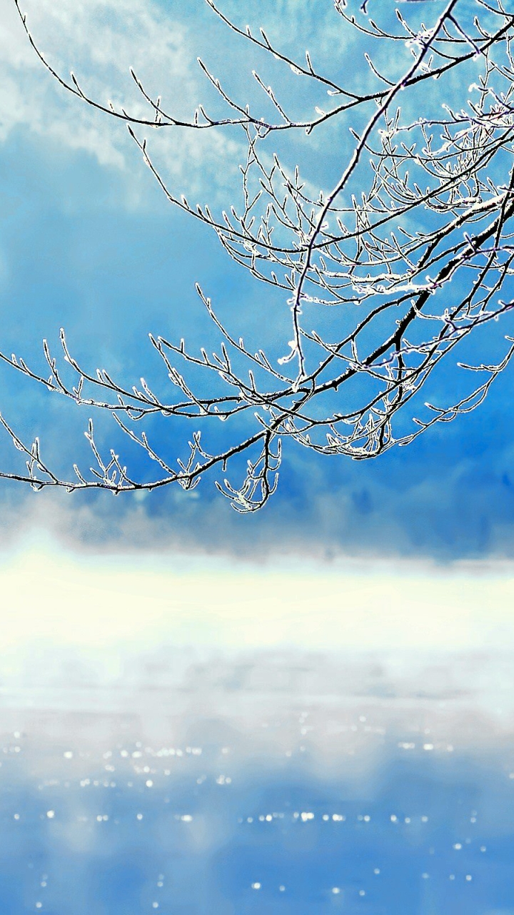 Download mobile wallpaper Winter, Earth for free.