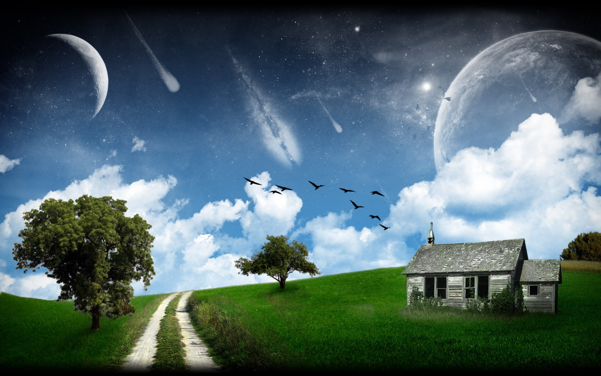 741012 завантажити картинку земля, мрійливий світ, птах, фантазія, поле, трава, будинок, метеорит, шлях, планета, дерево - шпалери і заставки безкоштовно