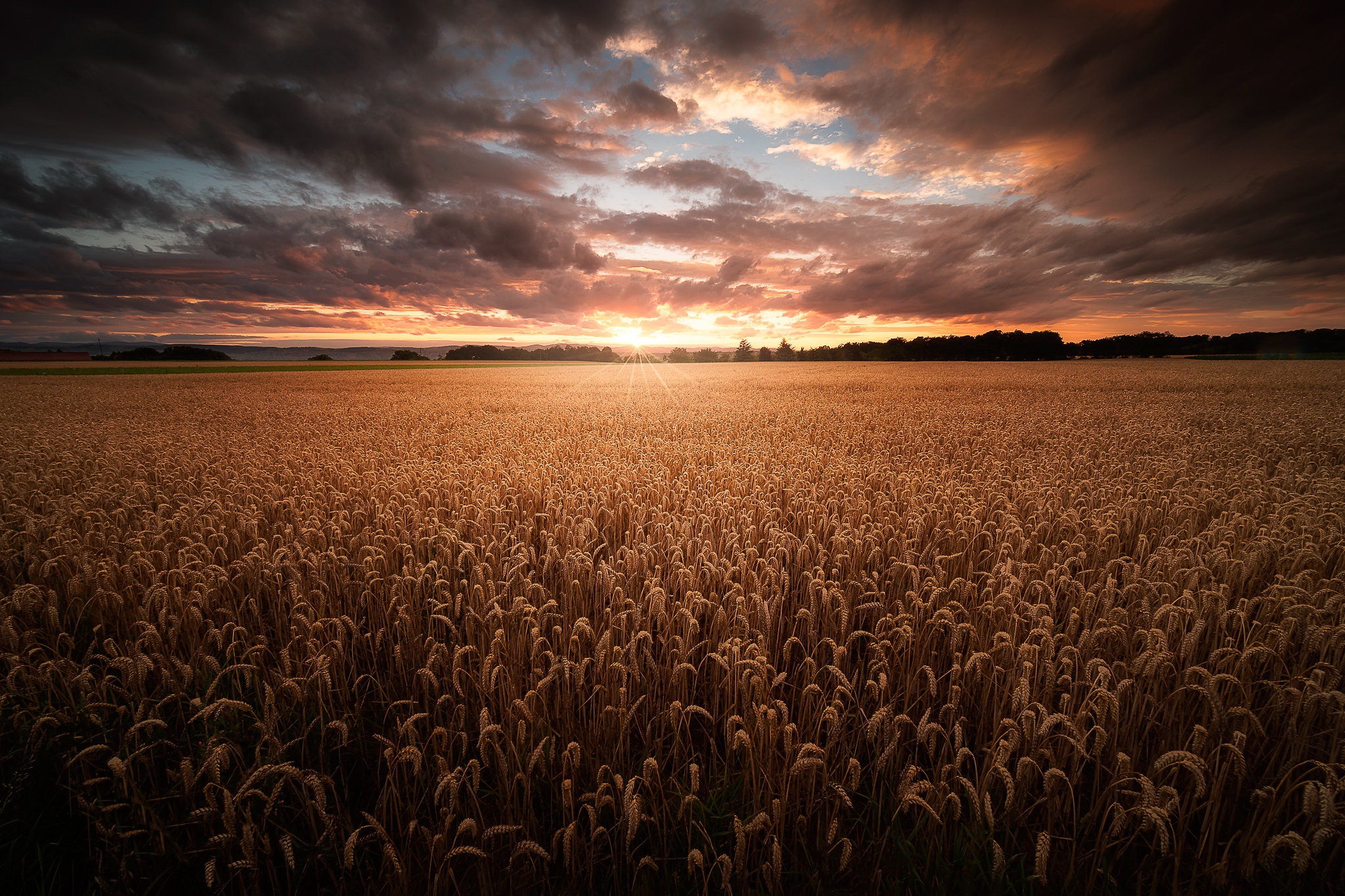 Download mobile wallpaper Summer, Wheat, Earth, Field for free.