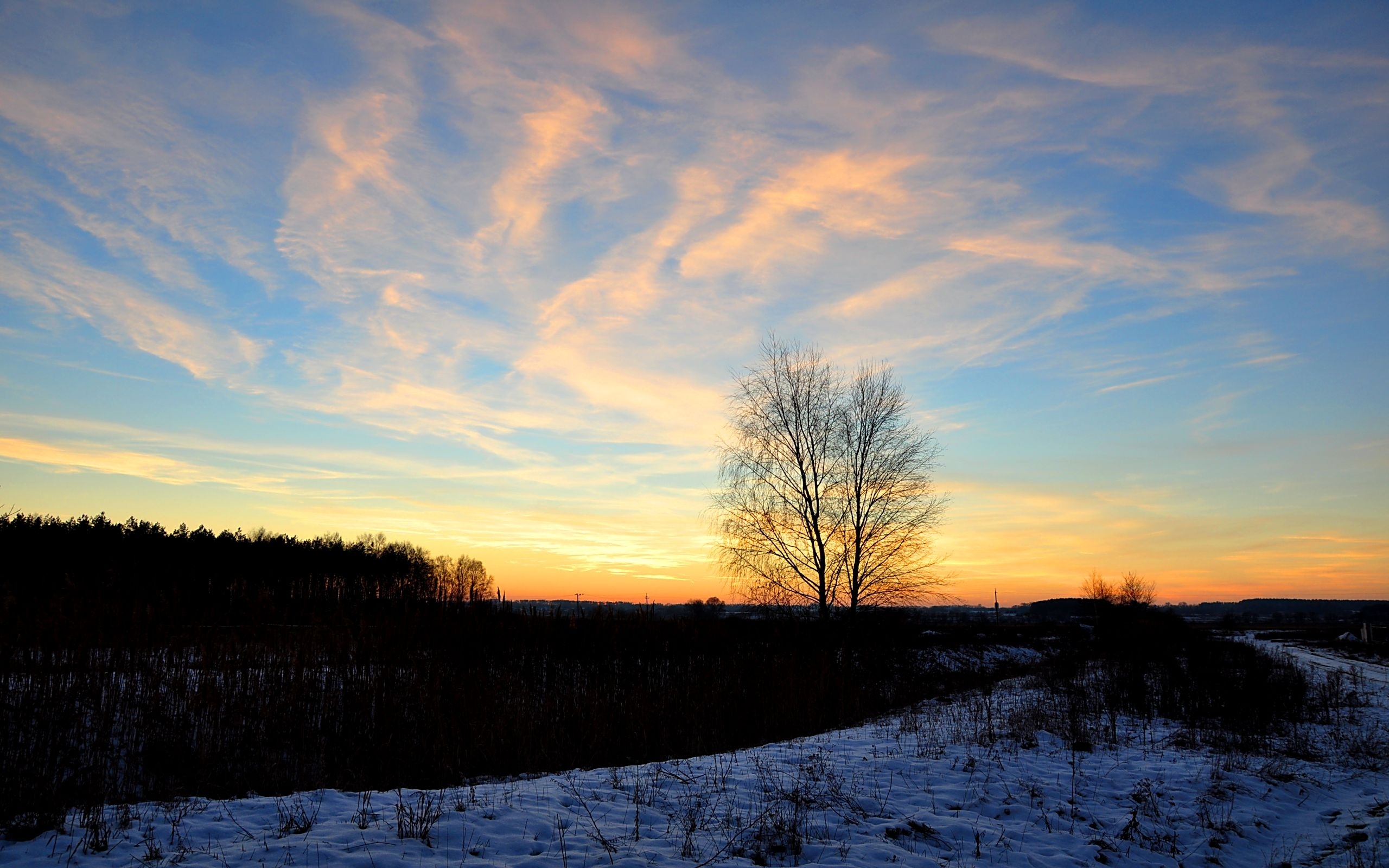 Handy-Wallpaper Landschaft, Natur kostenlos herunterladen.