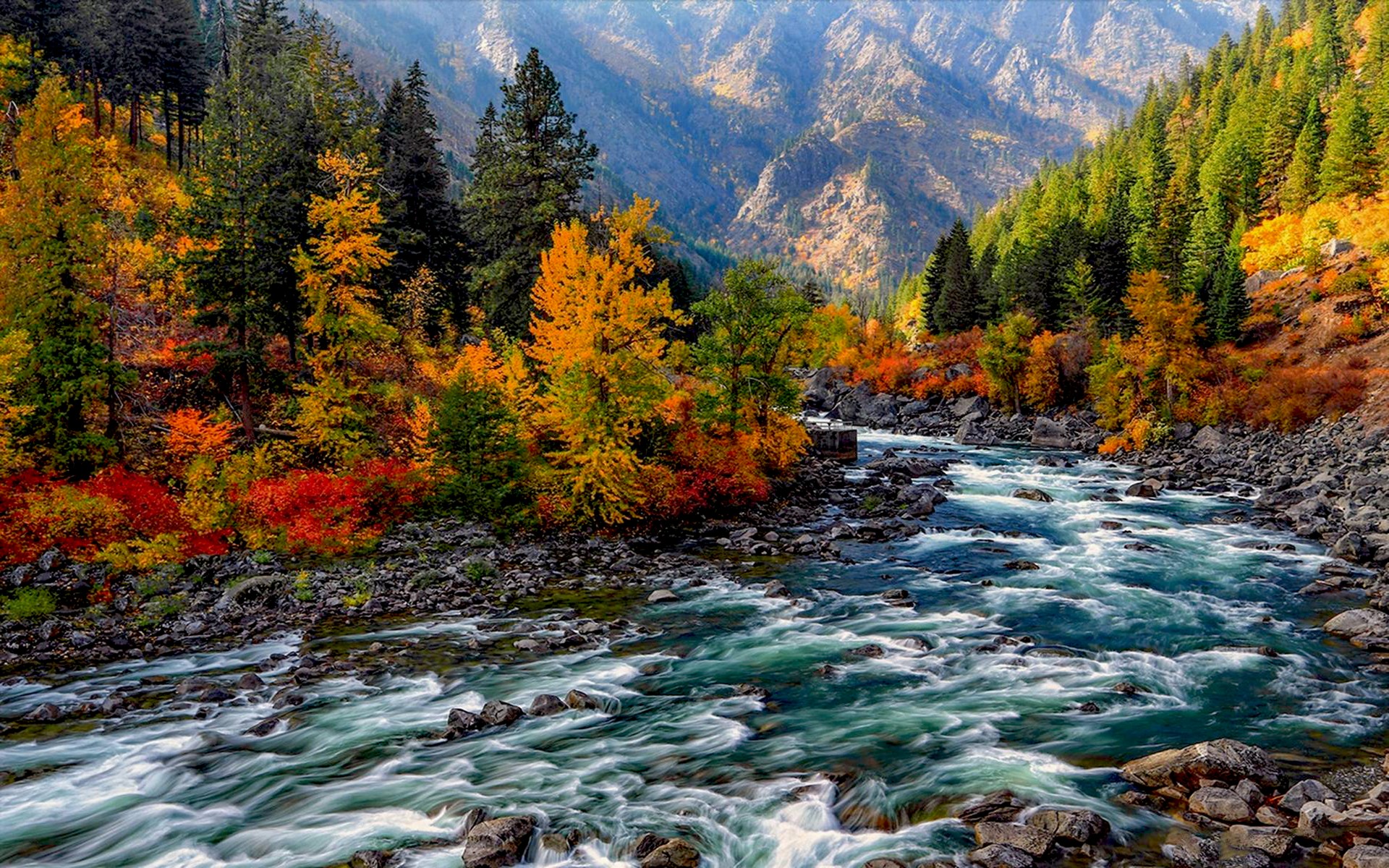 Скачать обои бесплатно Река, Осень, Гора, Лес, Дерево, Земля/природа картинка на рабочий стол ПК