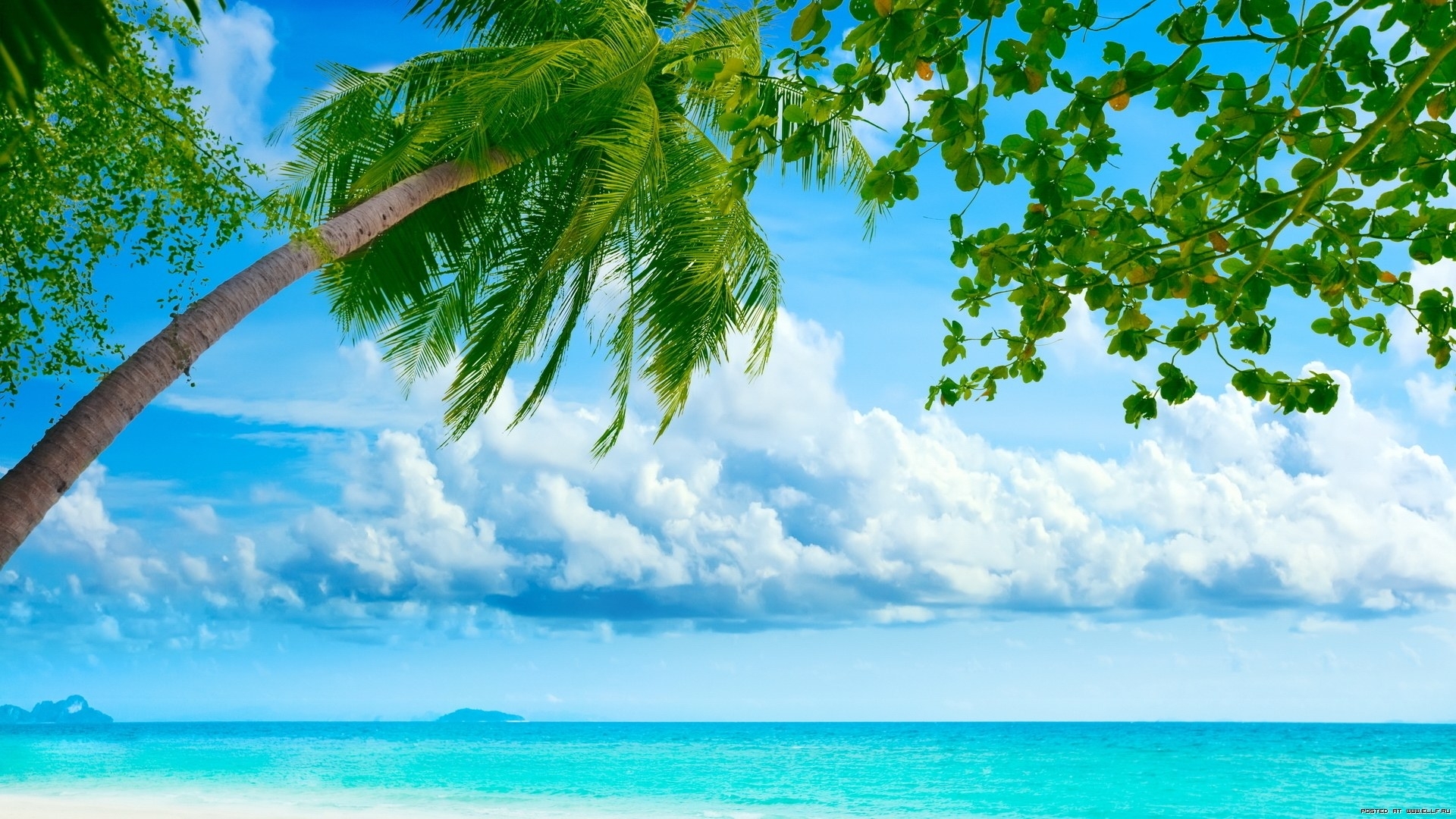 Скачати мобільні шпалери Море, Хмари, Пальми, Пейзаж, Пляж безкоштовно.