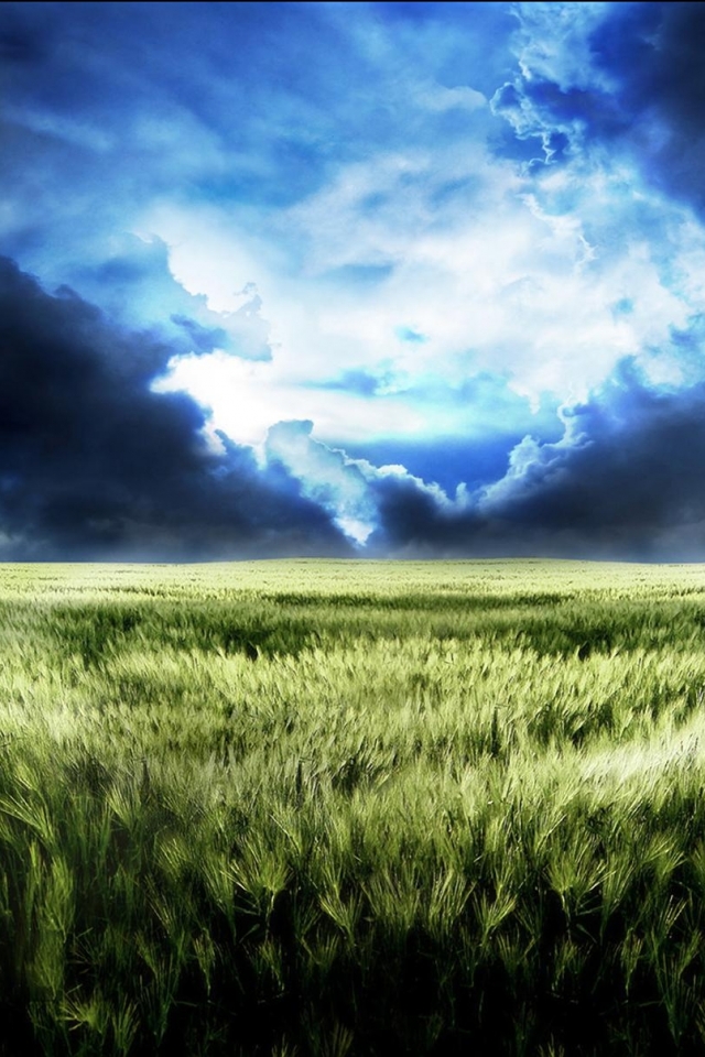 Download mobile wallpaper Landscape, Sky, Plant, Earth, Field, Cloud, Cgi for free.
