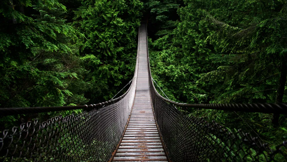 Desktop wallpaper: Forest, Man Made, Bridges, Bridge 4K free download ...