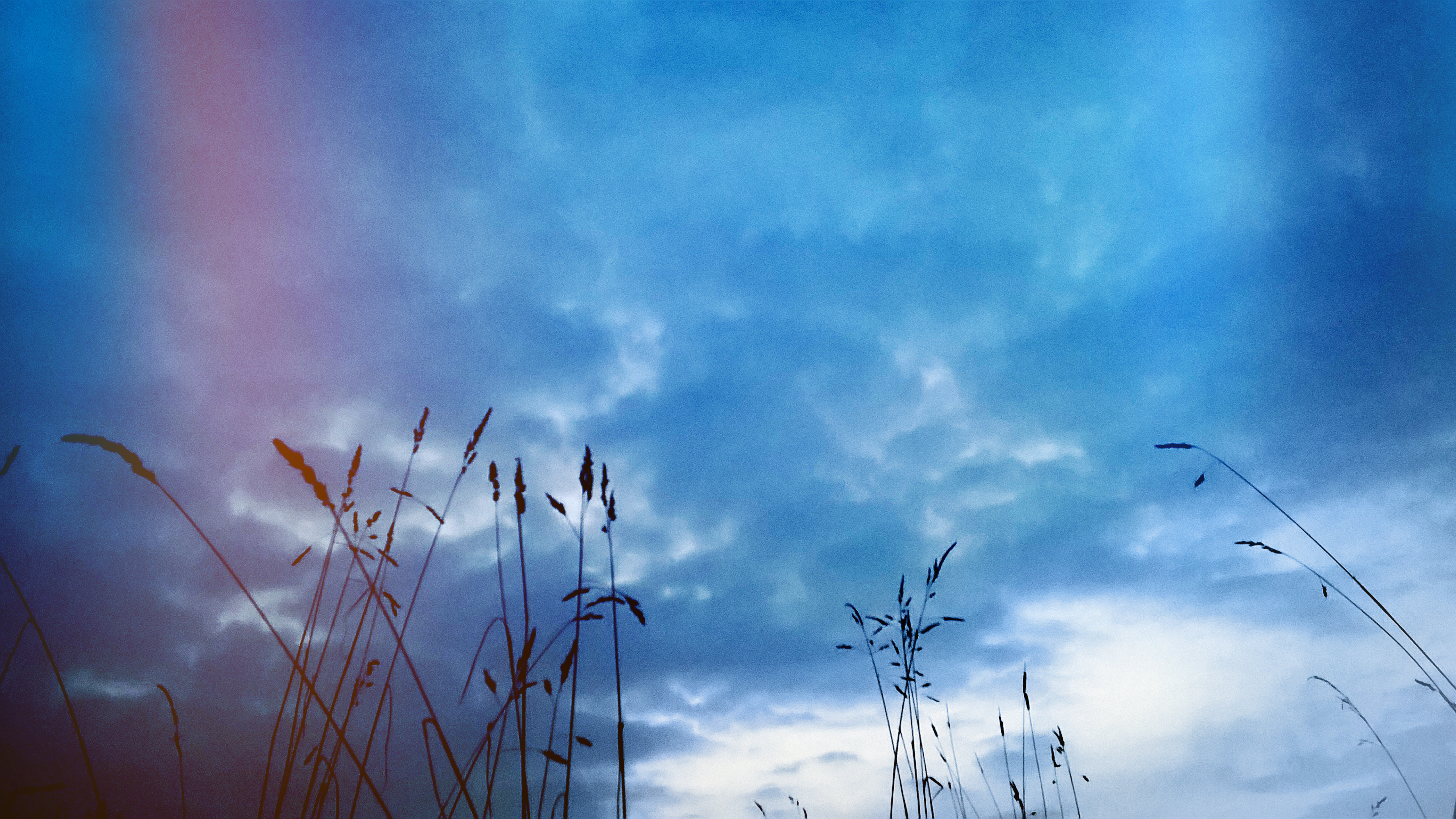 Download mobile wallpaper Sky, Plant, Earth for free.