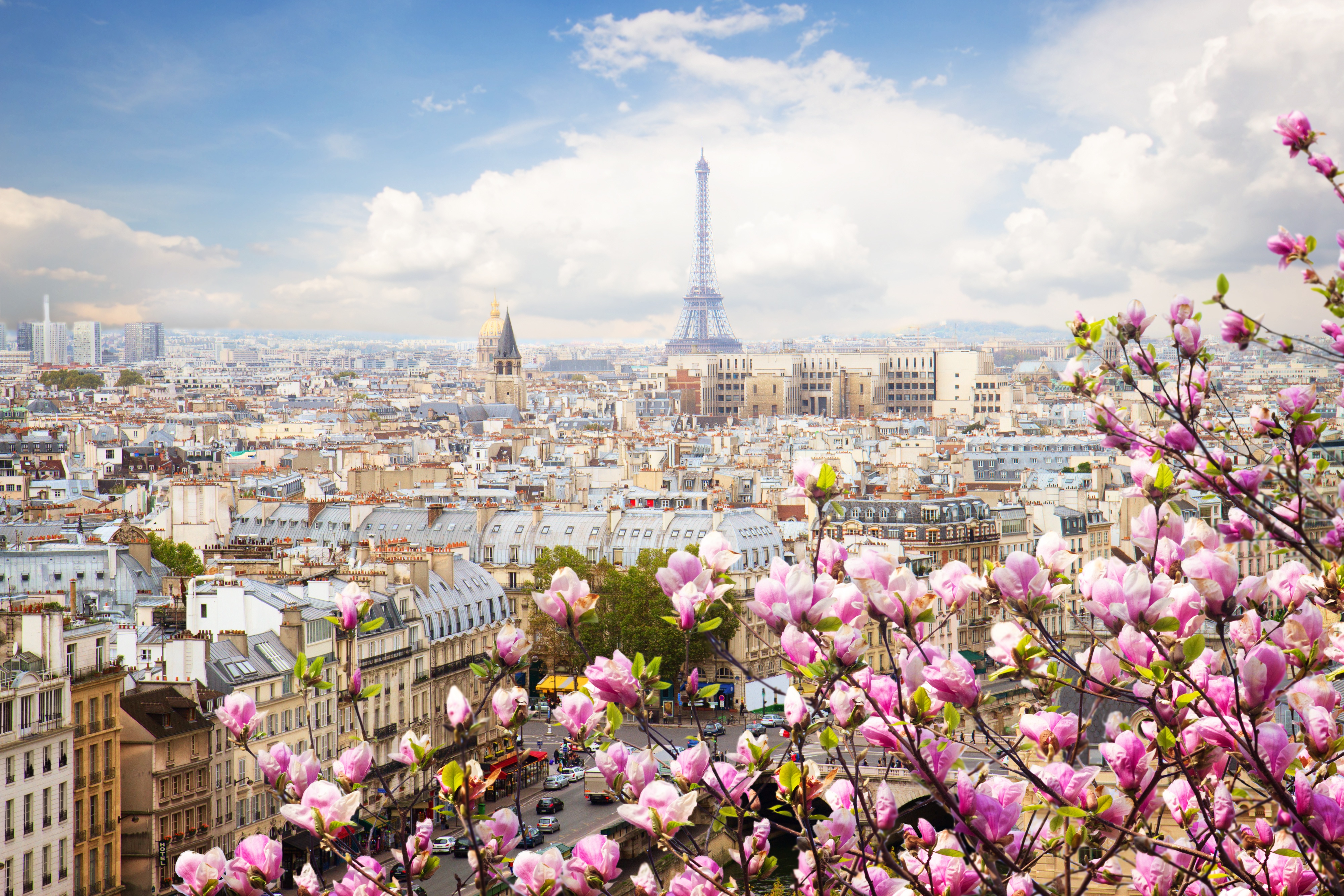 Скачать обои бесплатно Города, Париж, Эйфелева Башня, Город, Франция, Городской Пейзаж, Весна, Цветущие, Сделано Человеком картинка на рабочий стол ПК
