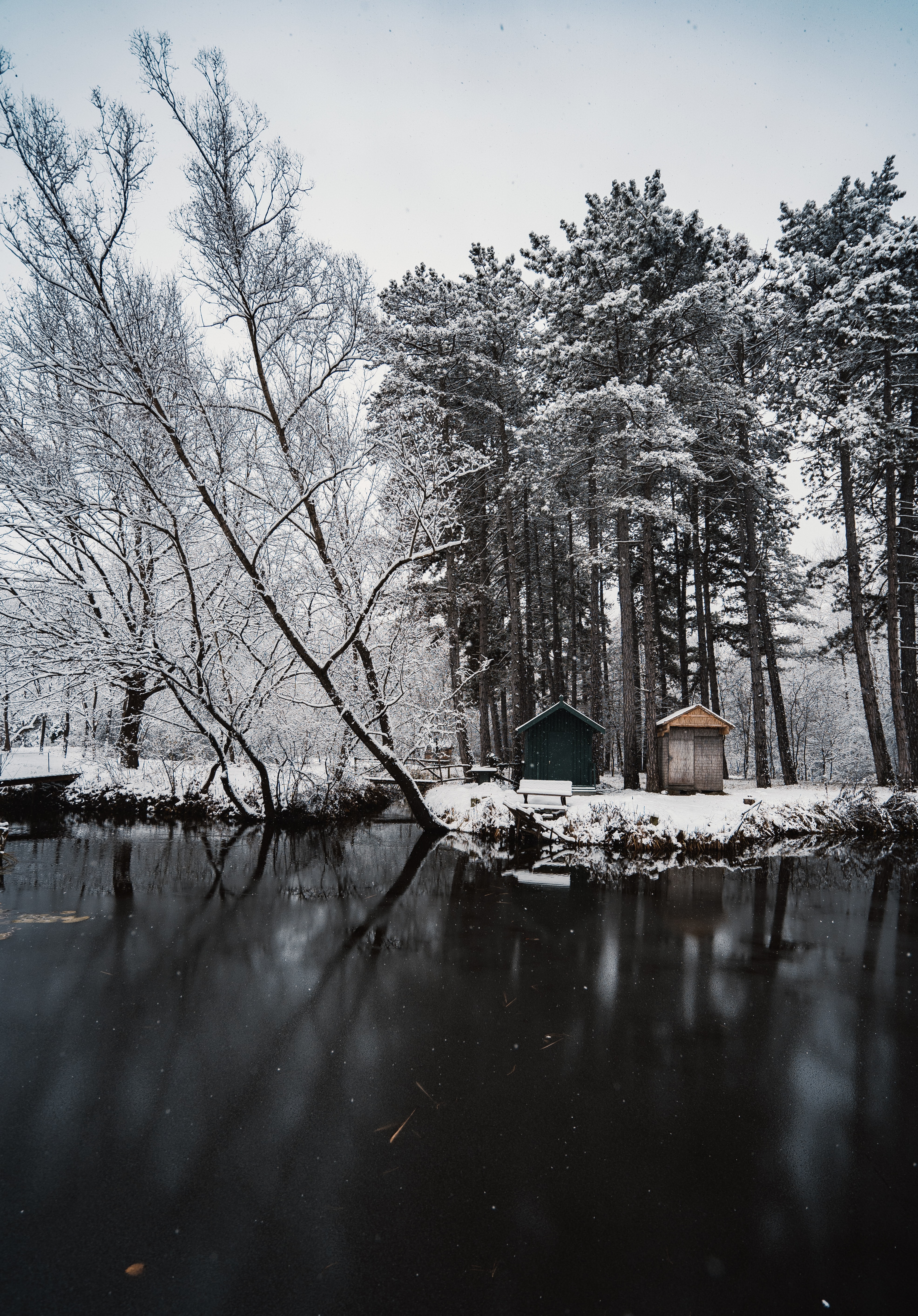 Baixe gratuitamente a imagem Inverno, Natureza, Rios, Árvores, Neve, Estrutura na área de trabalho do seu PC