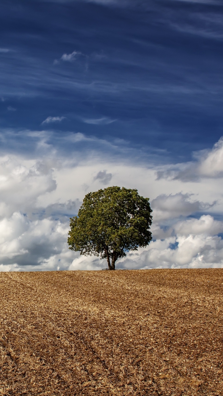 Download mobile wallpaper Nature, Sky, Tree, Earth, Field, Cloud, Lonely Tree for free.