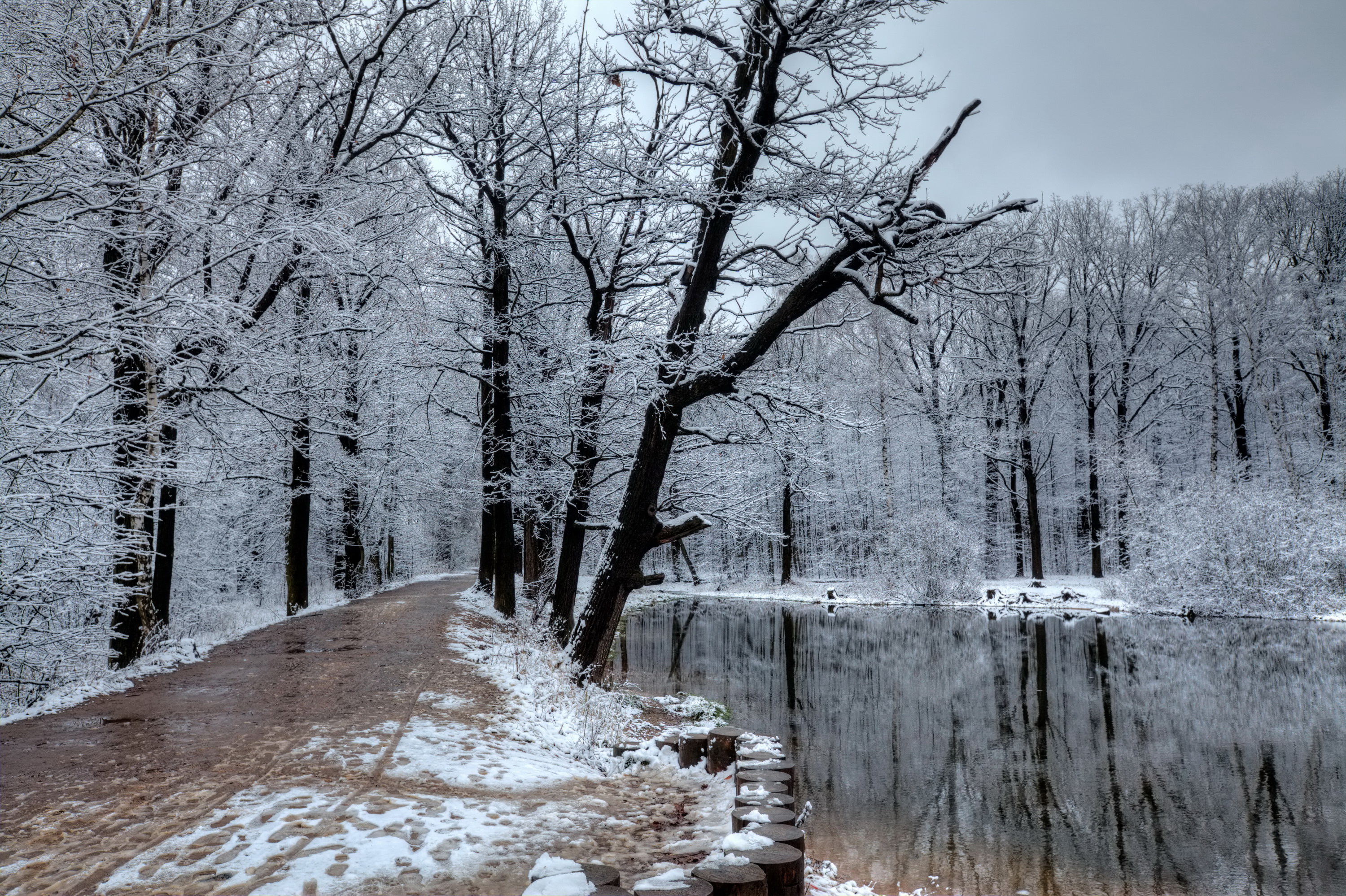 Handy-Wallpaper Winter, Erde/natur kostenlos herunterladen.