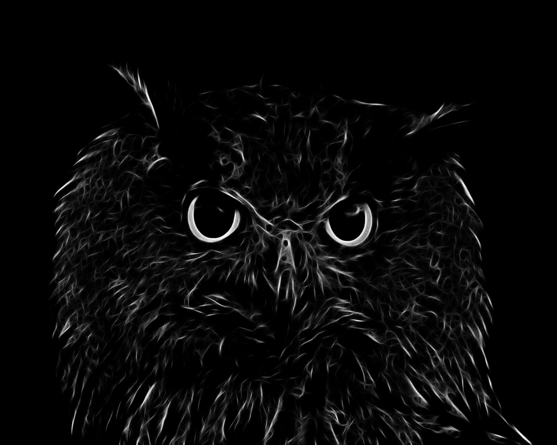 Free download wallpaper Owl, Bird, Fractal, Animal, Artistic, Black & White on your PC desktop