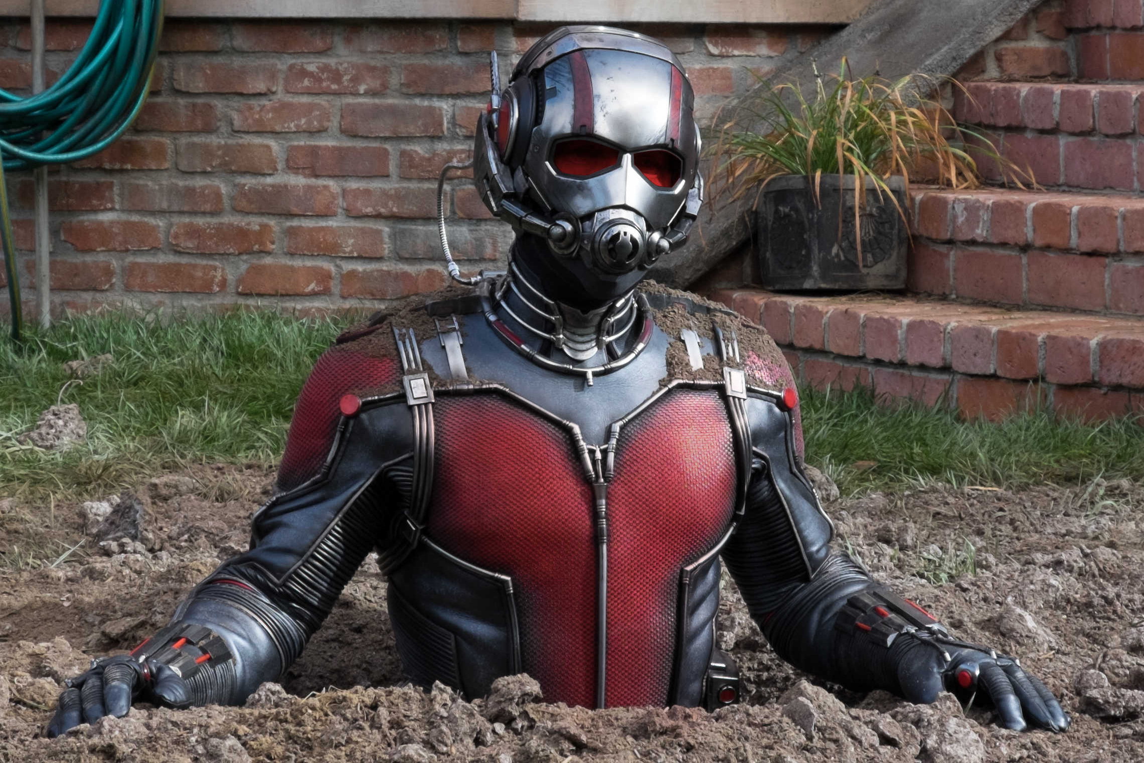 Download mobile wallpaper Movie, Ant Man for free.