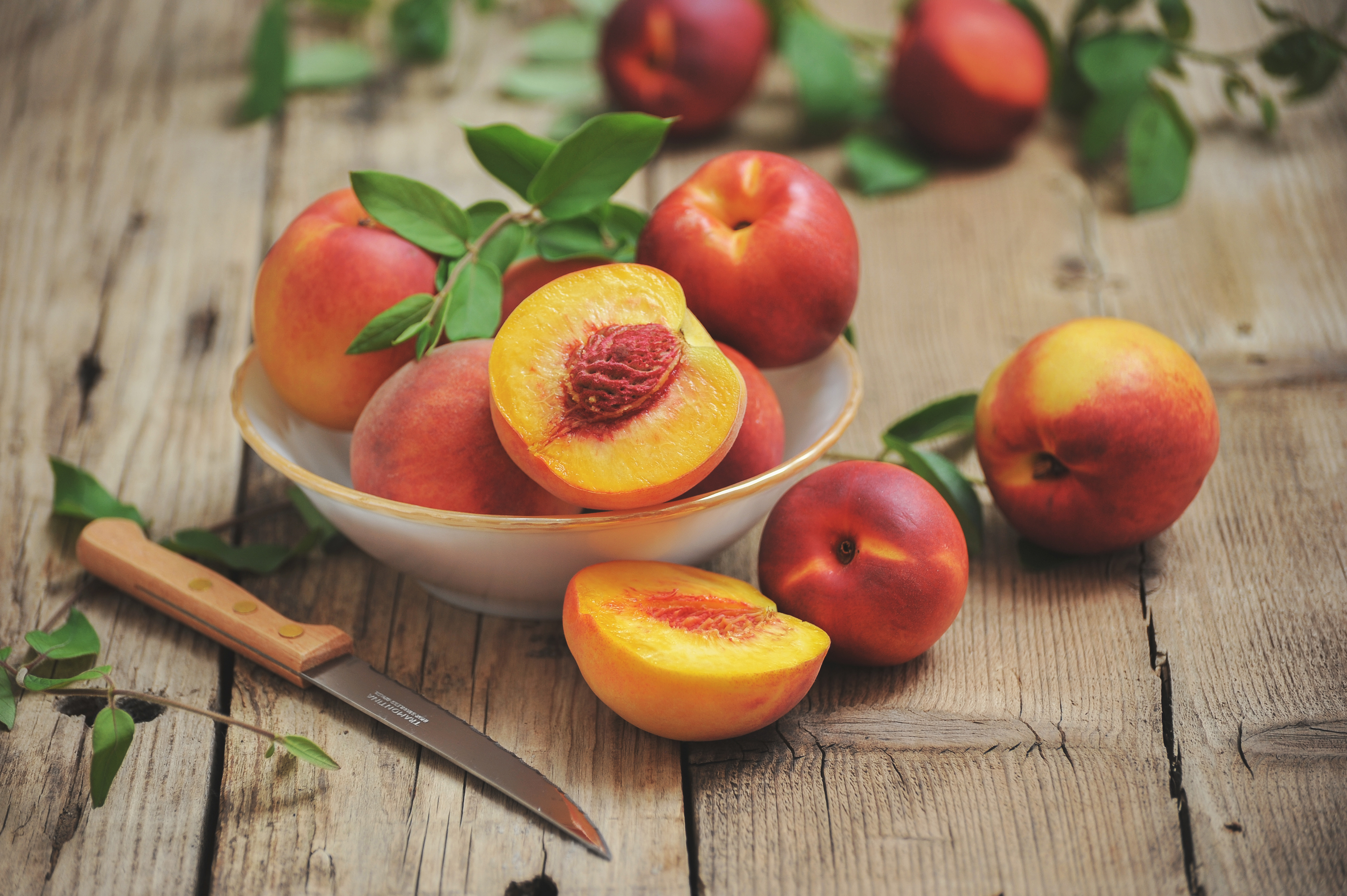 Free download wallpaper Food, Still Life, Fruit, Peach on your PC desktop