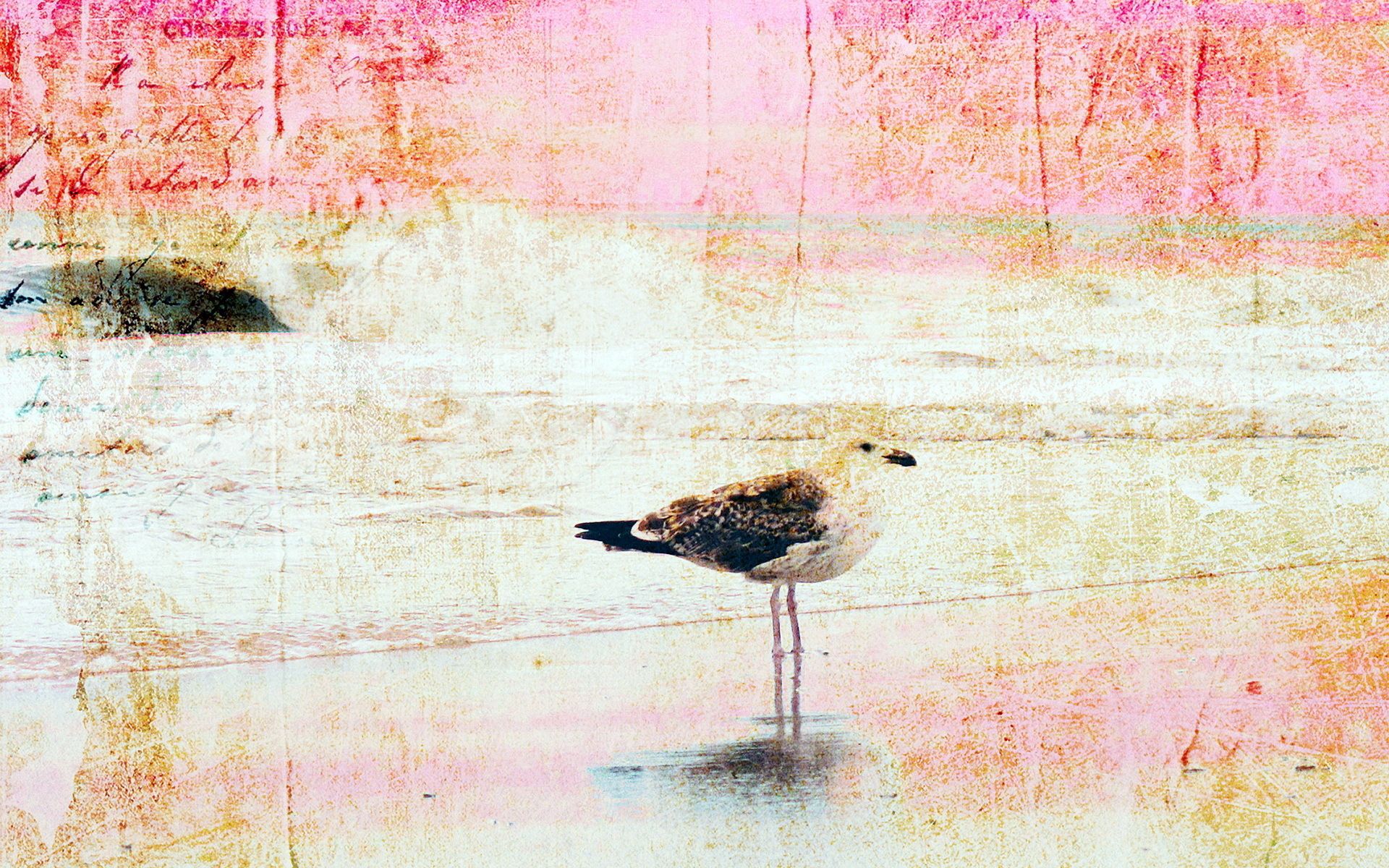 picture, spots, textures, background, bird, texture, stains, image