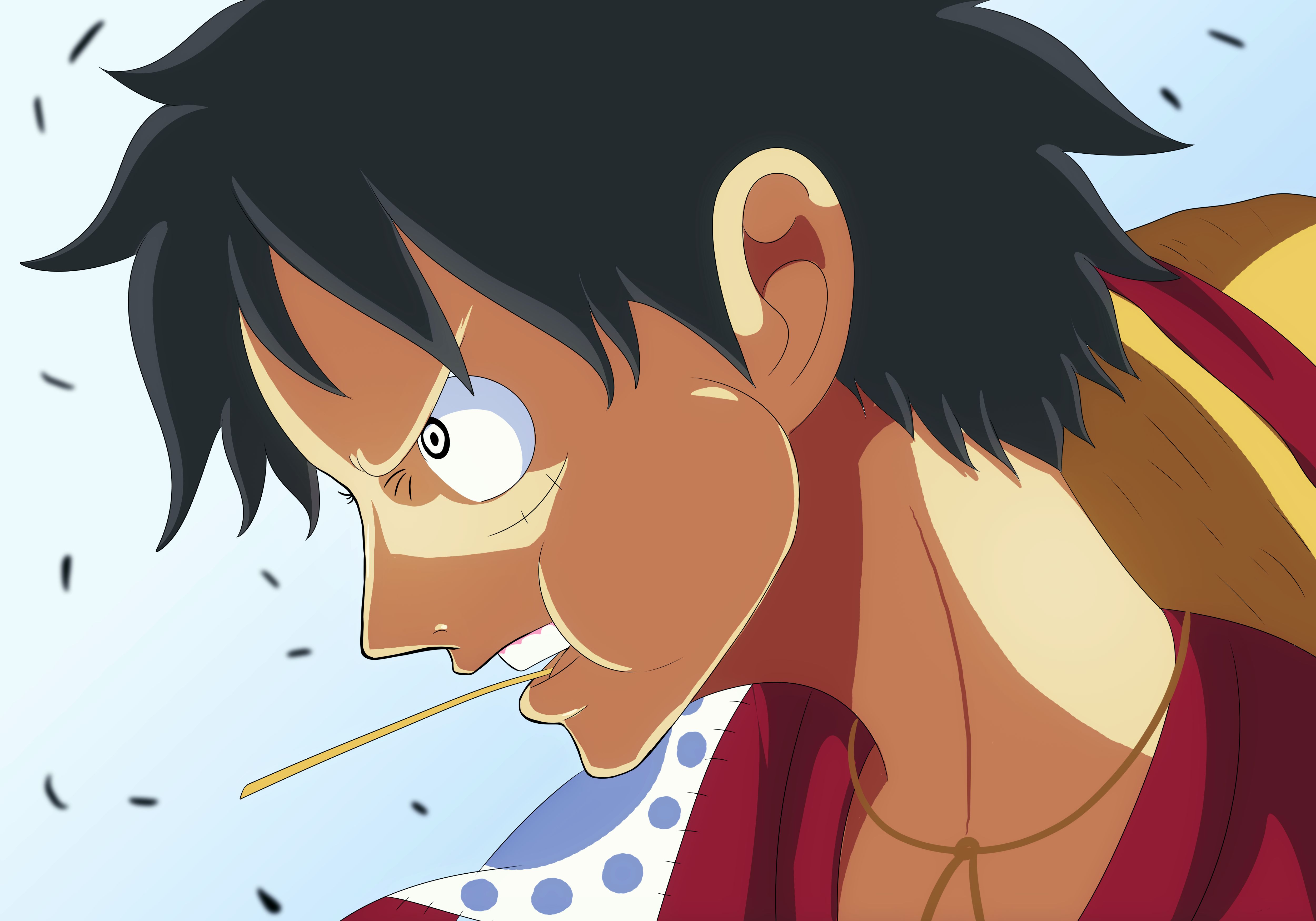 Baixar papel de parede para celular de Anime, One Piece, Monkey D Luffy gratuito.