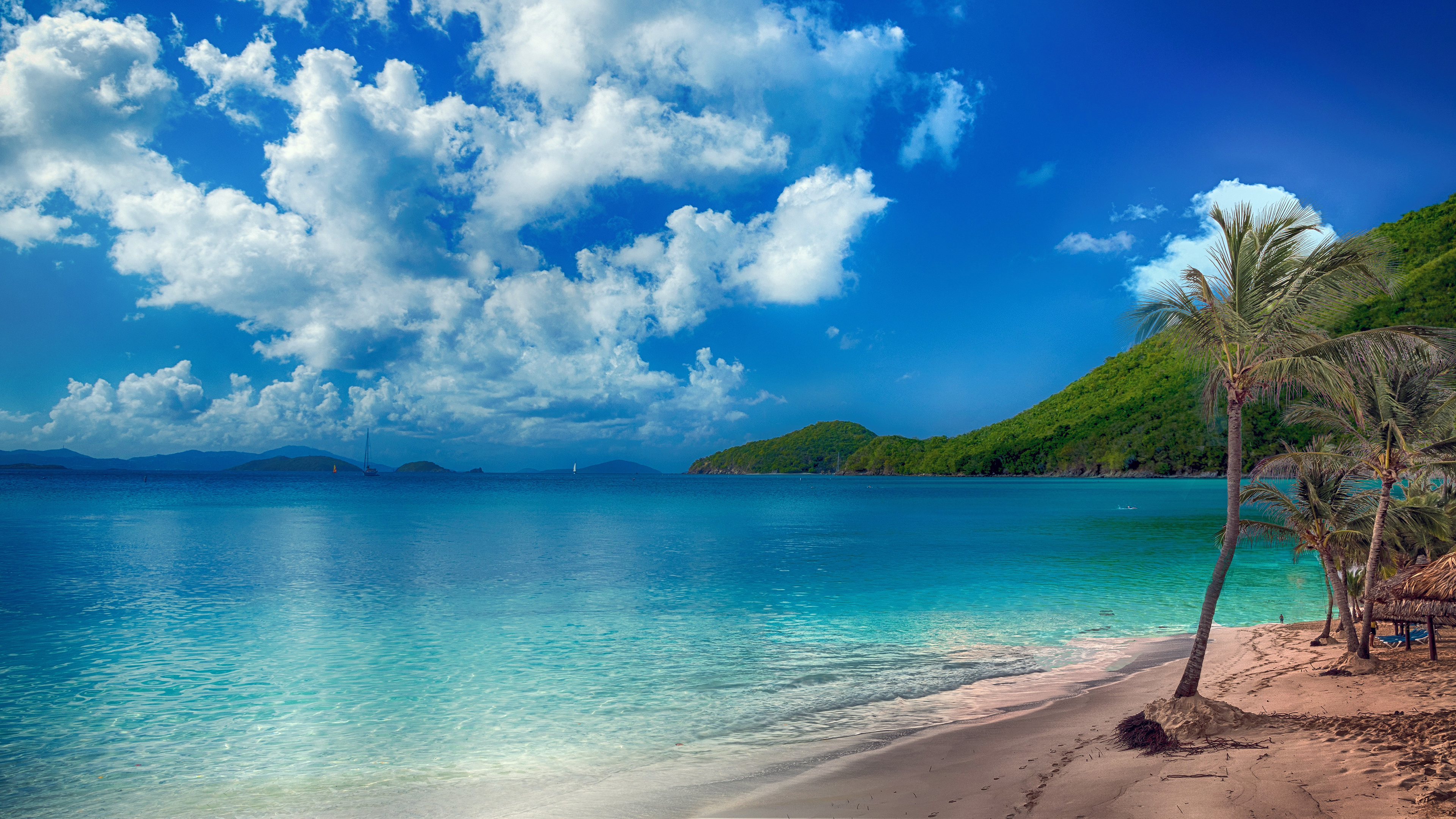 Baixe gratuitamente a imagem Céu, Praia, Palmeira, Nuvem, Terra/natureza na área de trabalho do seu PC