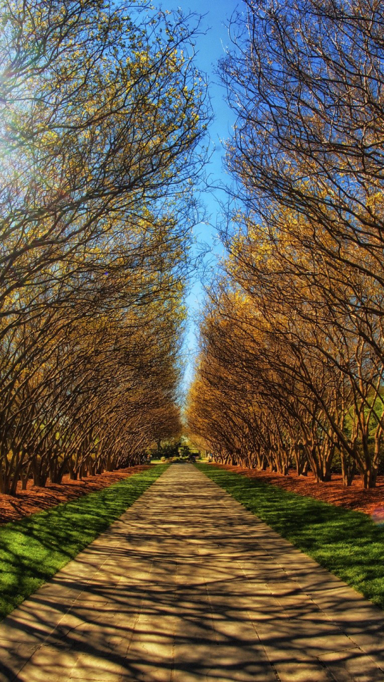 Descarga gratuita de fondo de pantalla para móvil de Camino, Tierra/naturaleza.