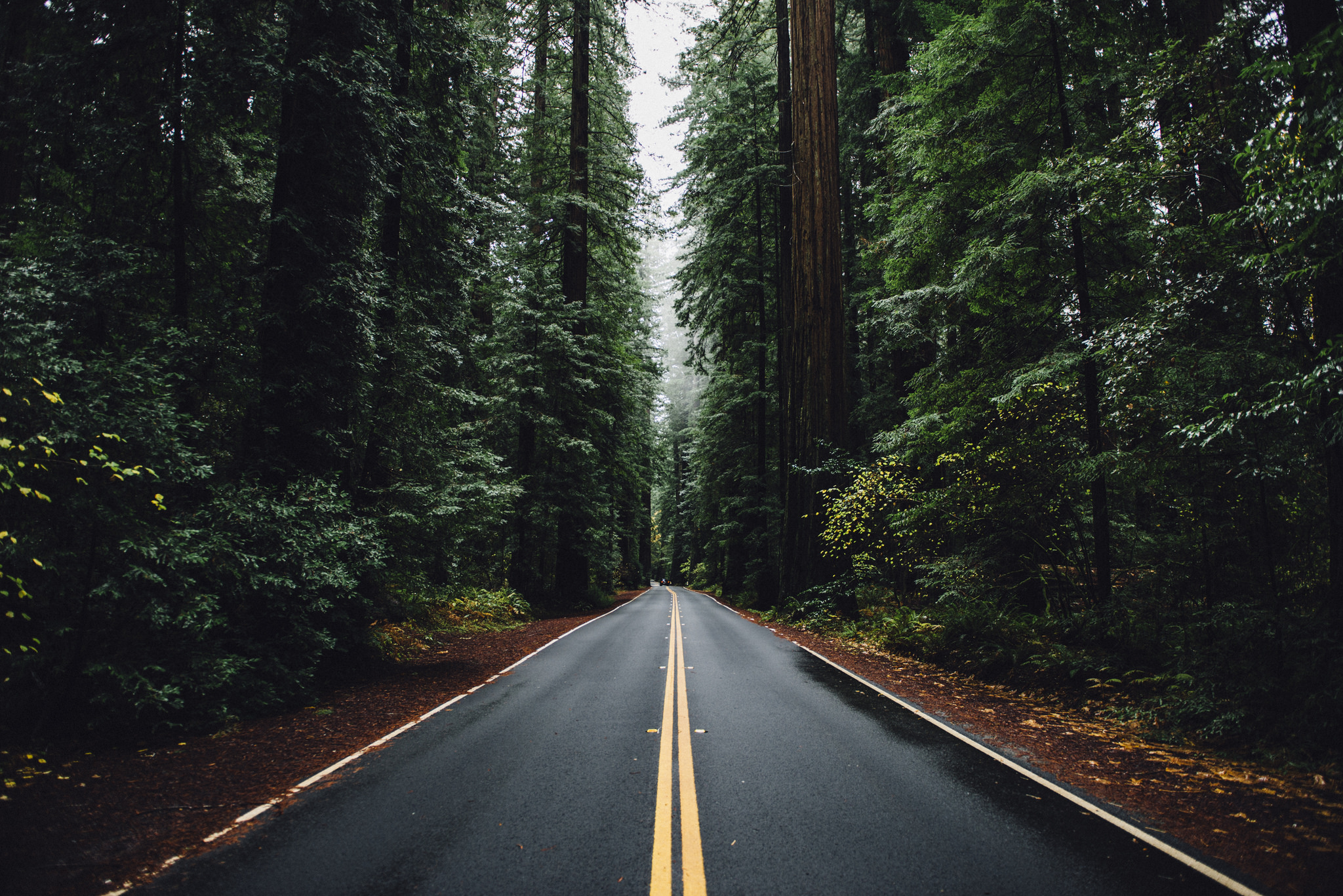 Download mobile wallpaper Road, Forest, Man Made for free.