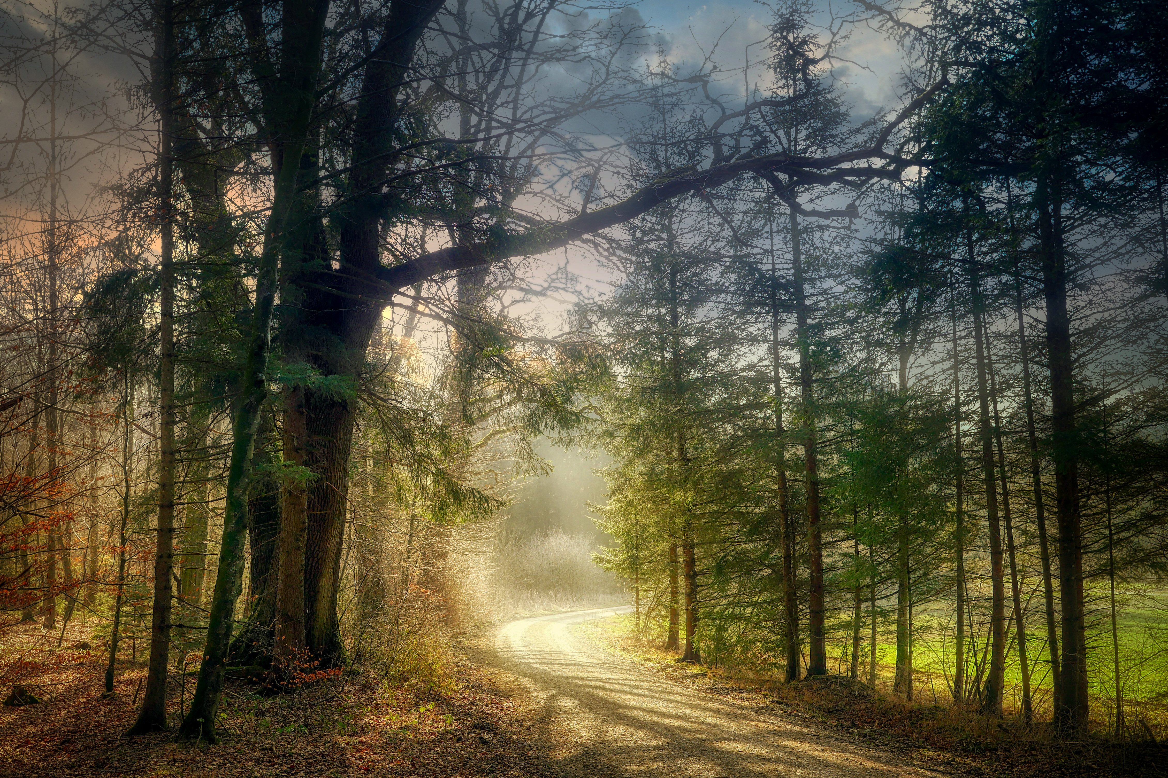 Free download wallpaper Forest, Fog, Path, Sunlight, Man Made on your PC desktop