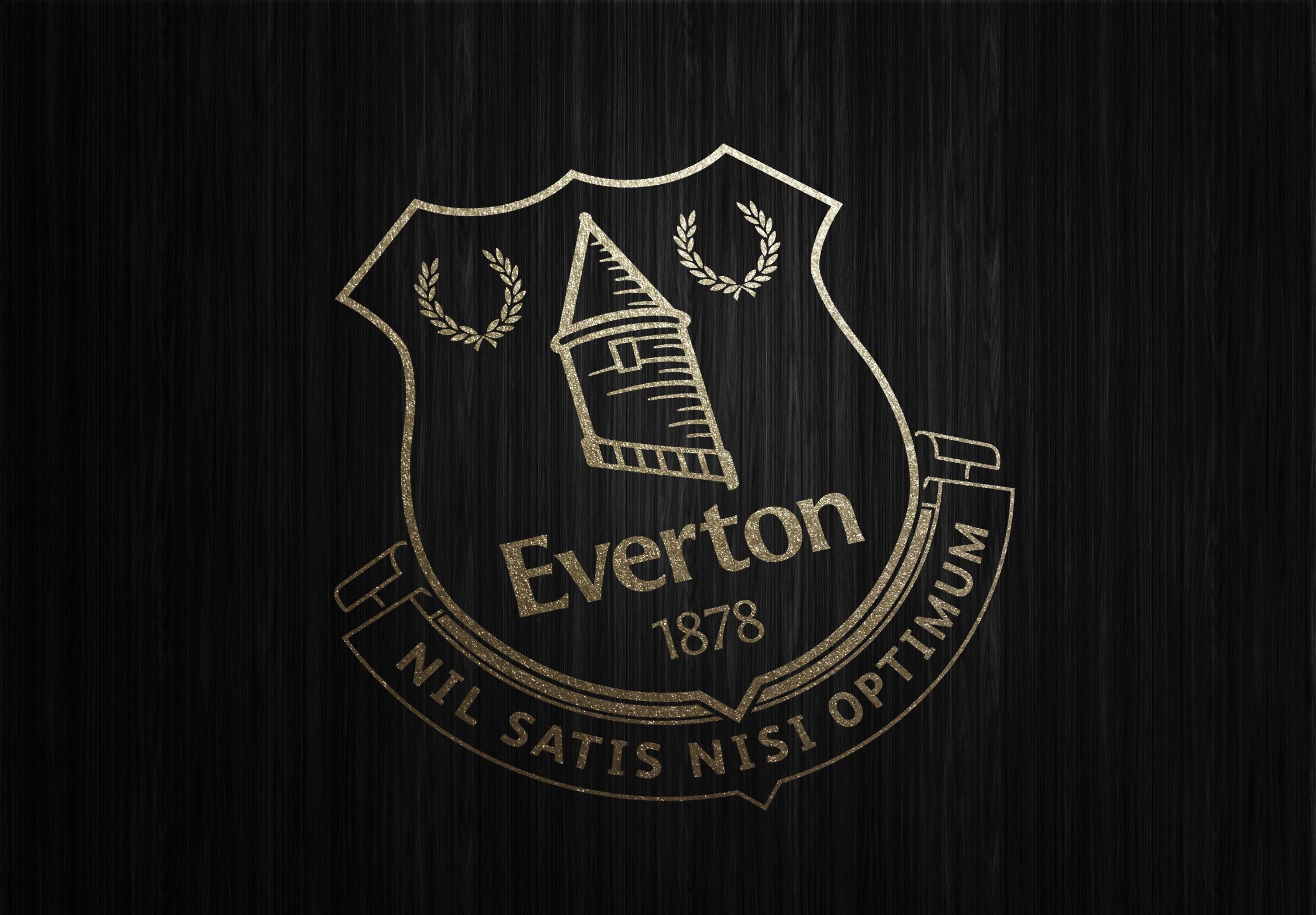 Laden Sie das Sport, Fußball, Logo, Emblem, Everton Fc-Bild kostenlos auf Ihren PC-Desktop herunter
