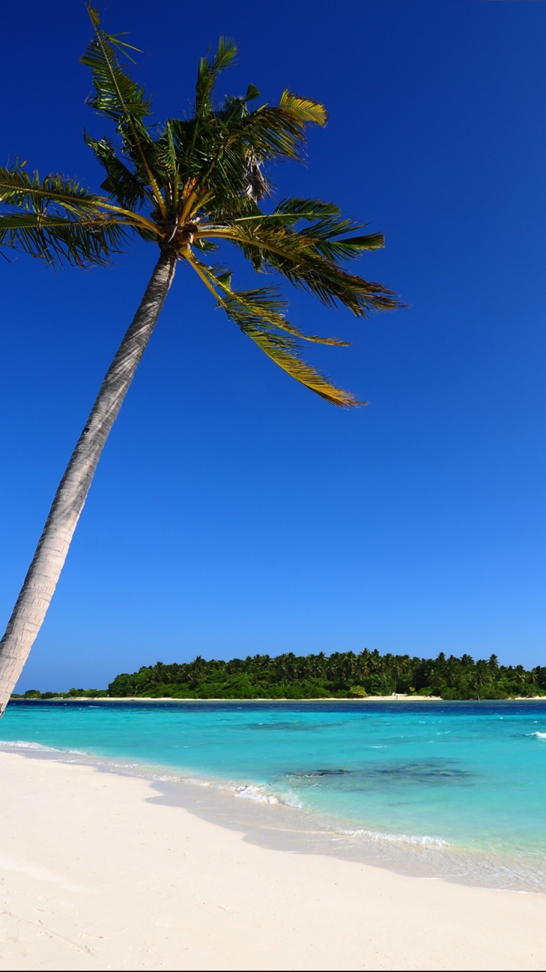 Скачати мобільні шпалери Небо, Пісок, Океан, Синій, Пальма, Земля, Острів, Тропічний, Мальдіви, Пляжний безкоштовно.