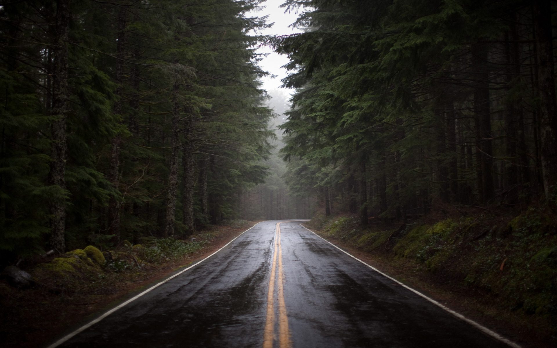 Free download wallpaper Rain, Road, Forest, Man Made on your PC desktop