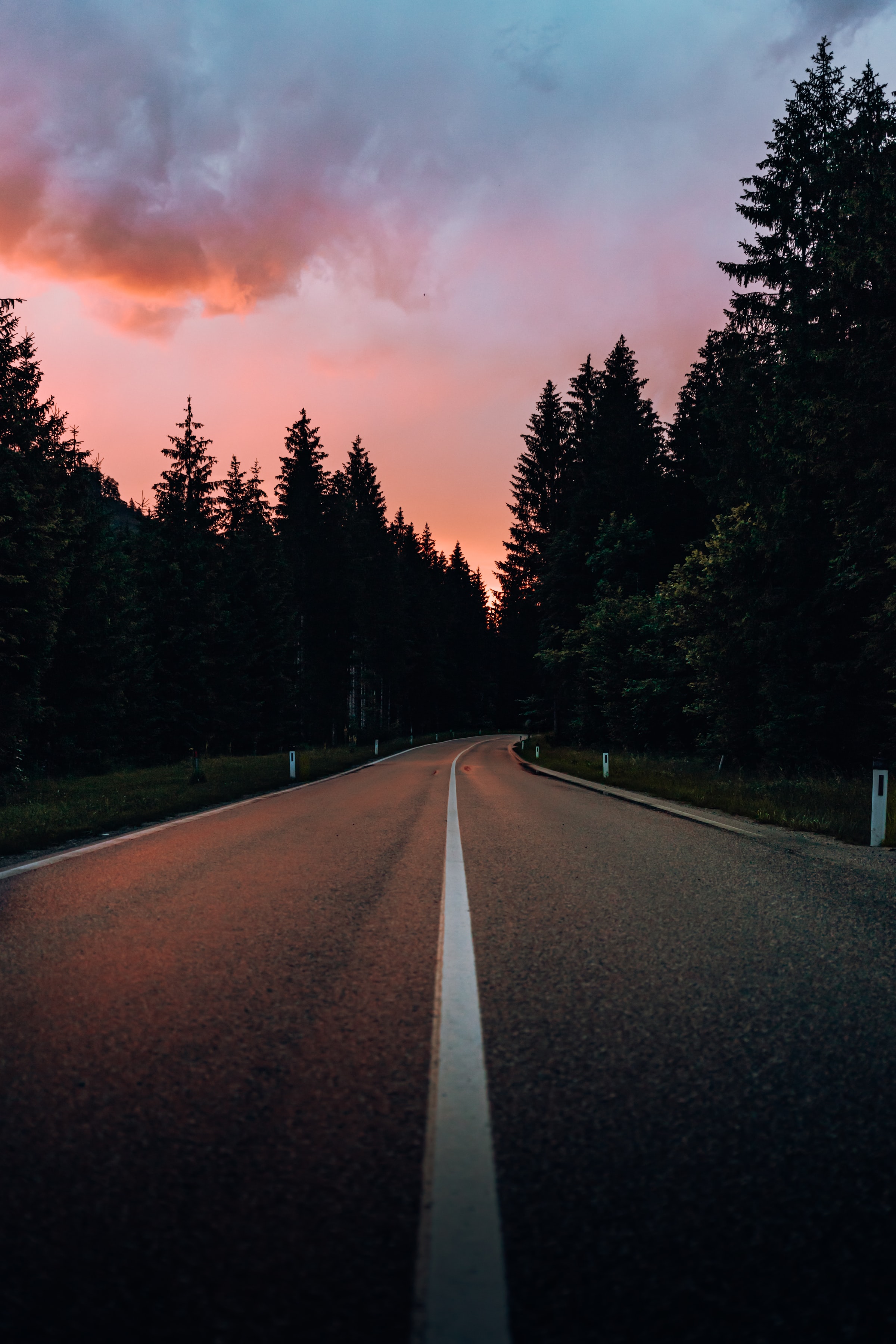 Download PC Wallpaper nature, road, trees, sunset, markup, dahl, distance