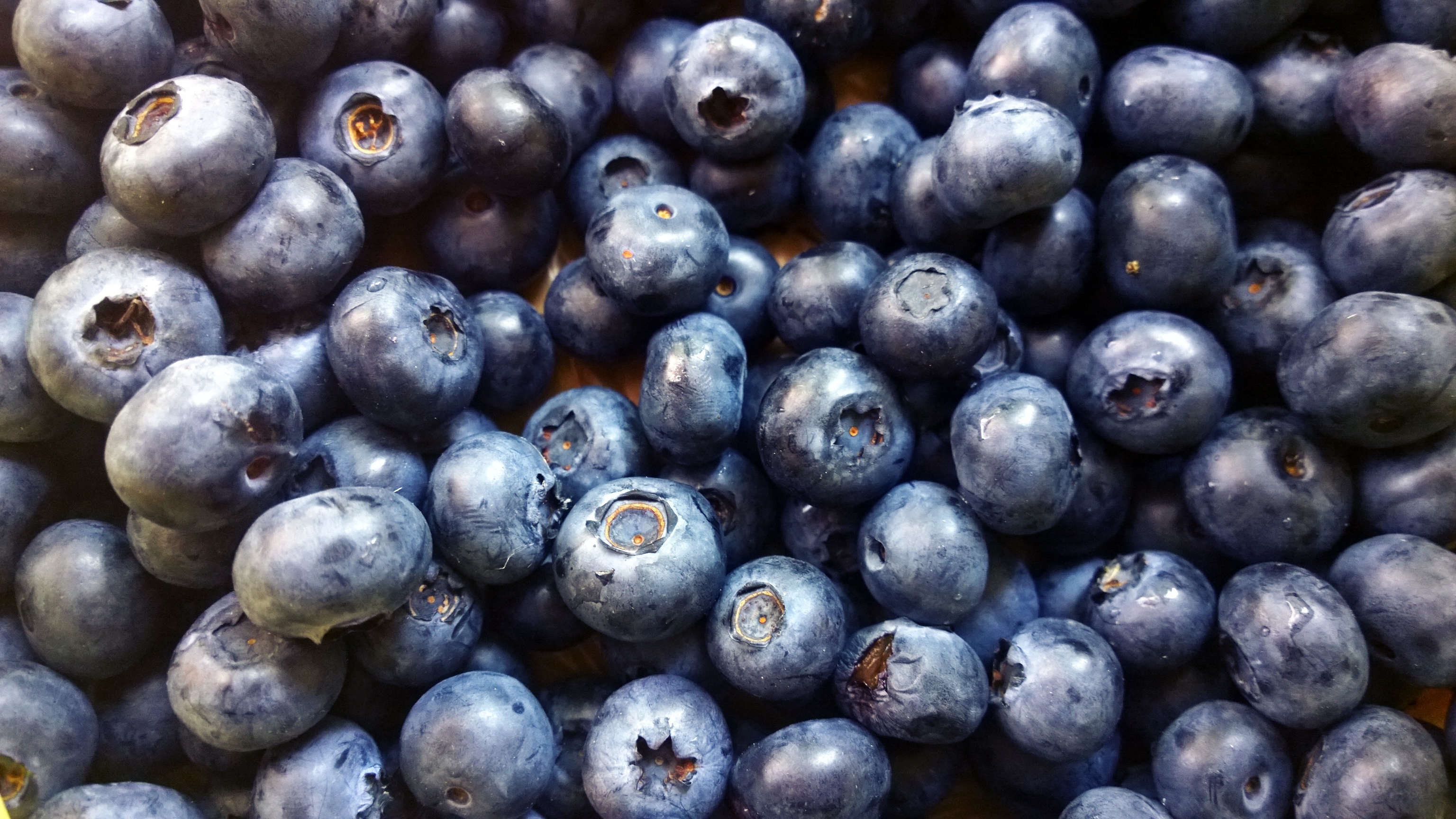 Download mobile wallpaper Food, Blueberry, Berry, Fruit for free.