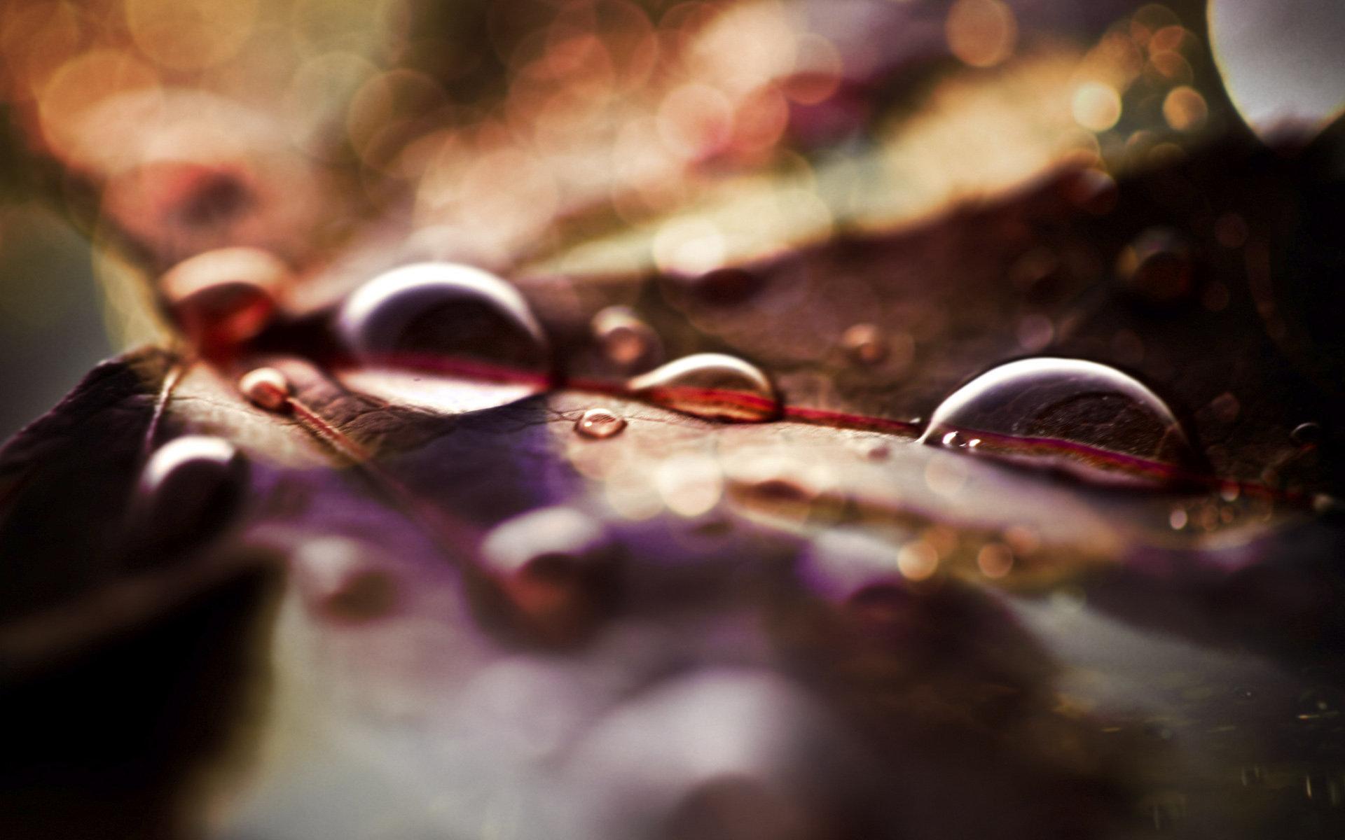 Download mobile wallpaper Earth, Water Drop for free.