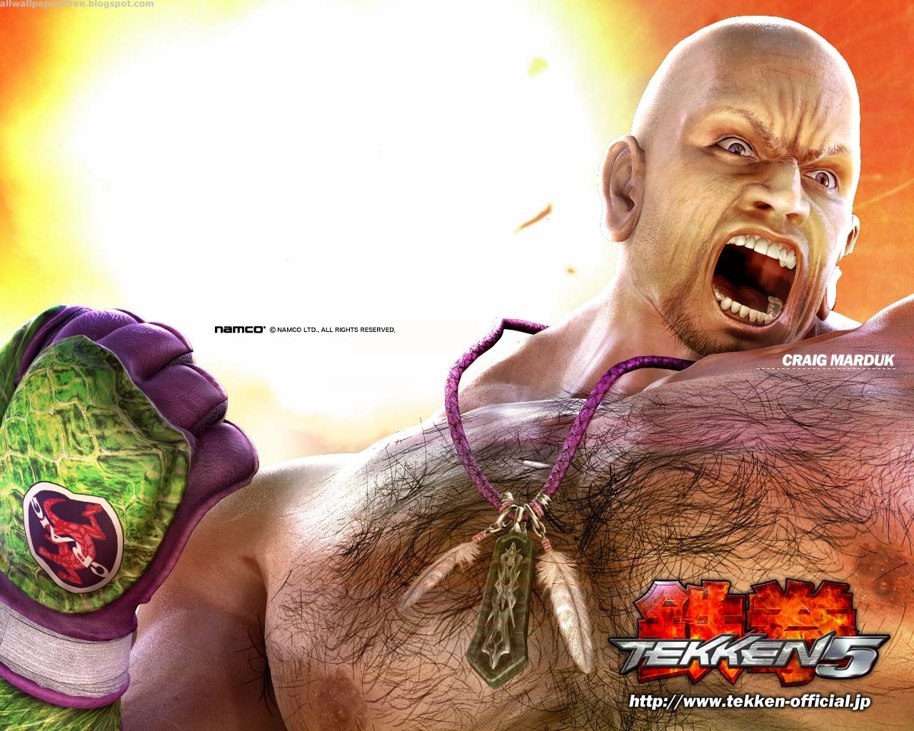 Free download wallpaper Video Game, Tekken 5 on your PC desktop