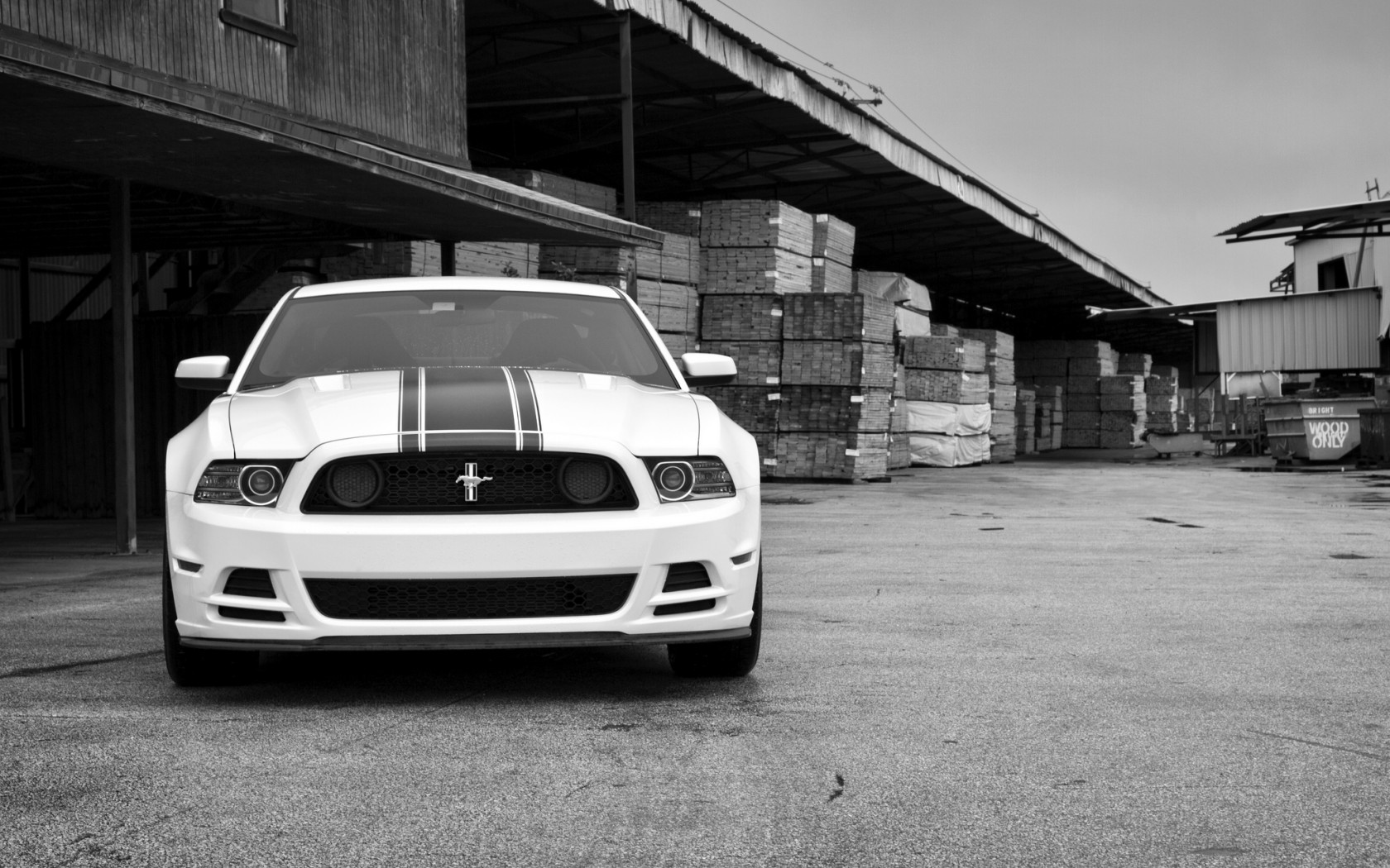 Download mobile wallpaper White Car, Muscle Car, Ford, Ford Mustang, Vehicles for free.