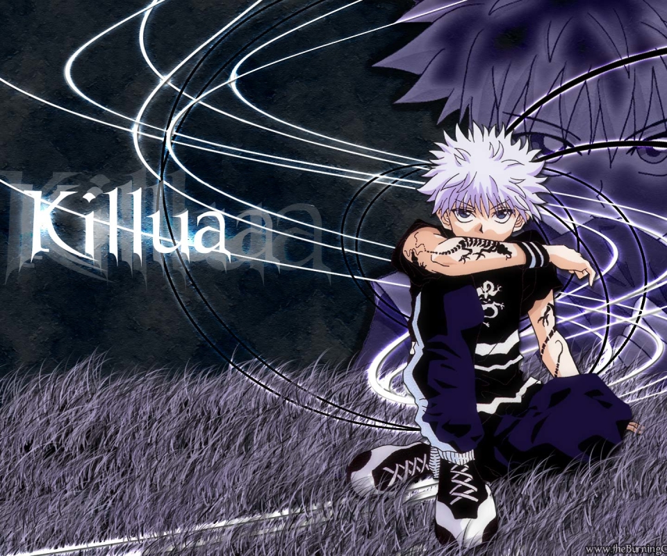 Laden Sie das Animes, Hunter X Hunter, Killua Zoldyck-Bild kostenlos auf Ihren PC-Desktop herunter