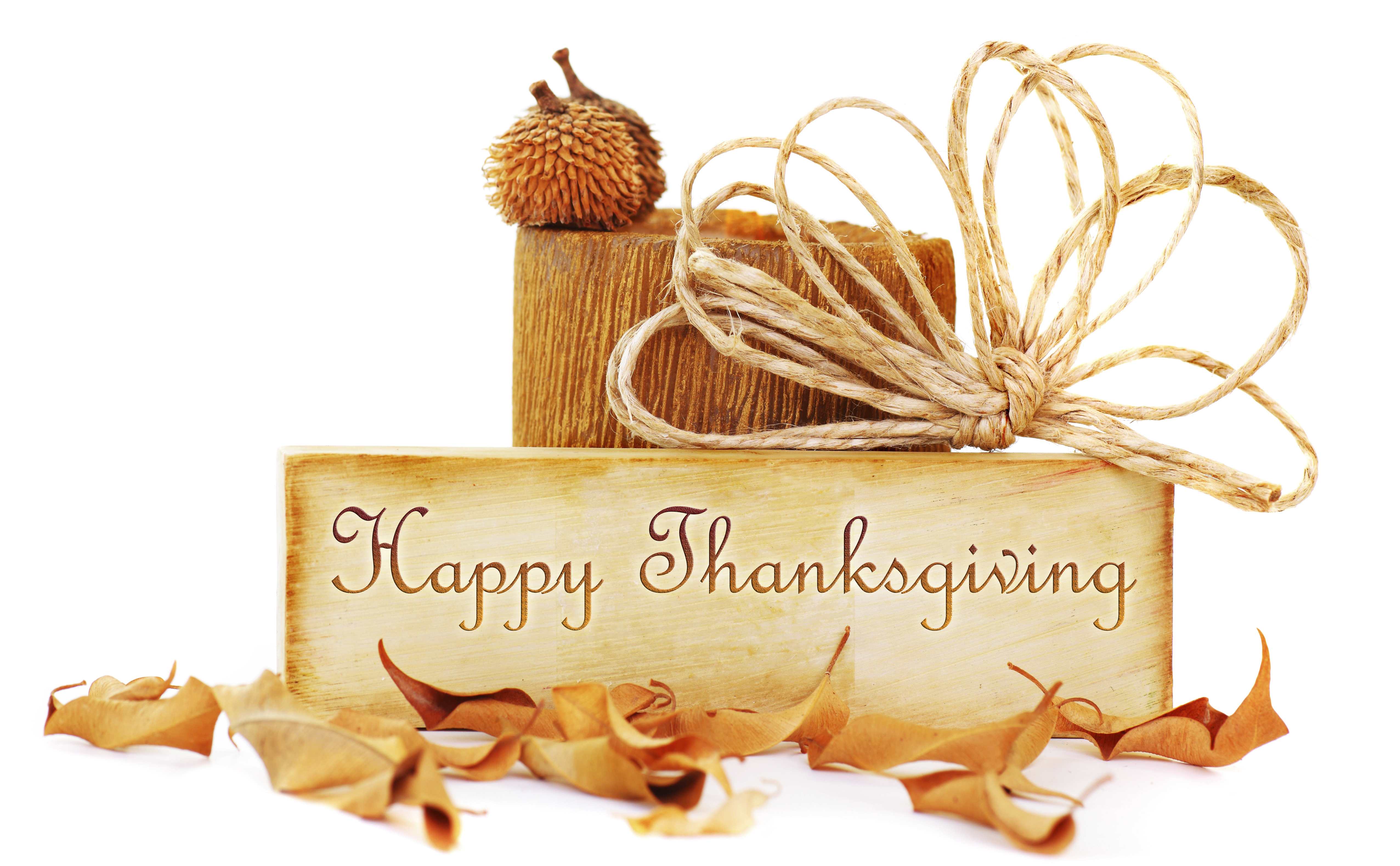 Скачать картинку День Благодарения, Праздничные, Счастливого Дня Благодарения в телефон бесплатно.