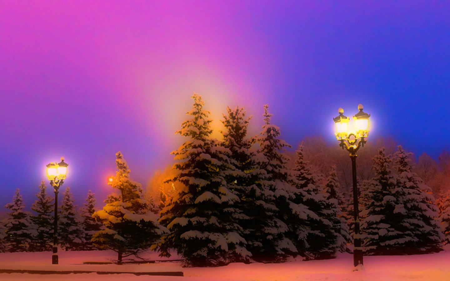 Download mobile wallpaper Winter, Night, Snow, Tree, Photography, Street Light for free.