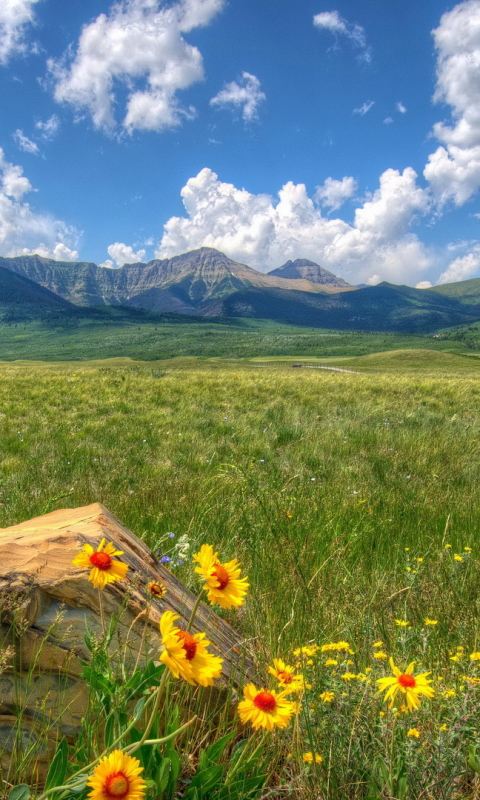 無料モバイル壁紙風景, 山, カナダ, 地球, アルバータ州, 山岳をダウンロードします。