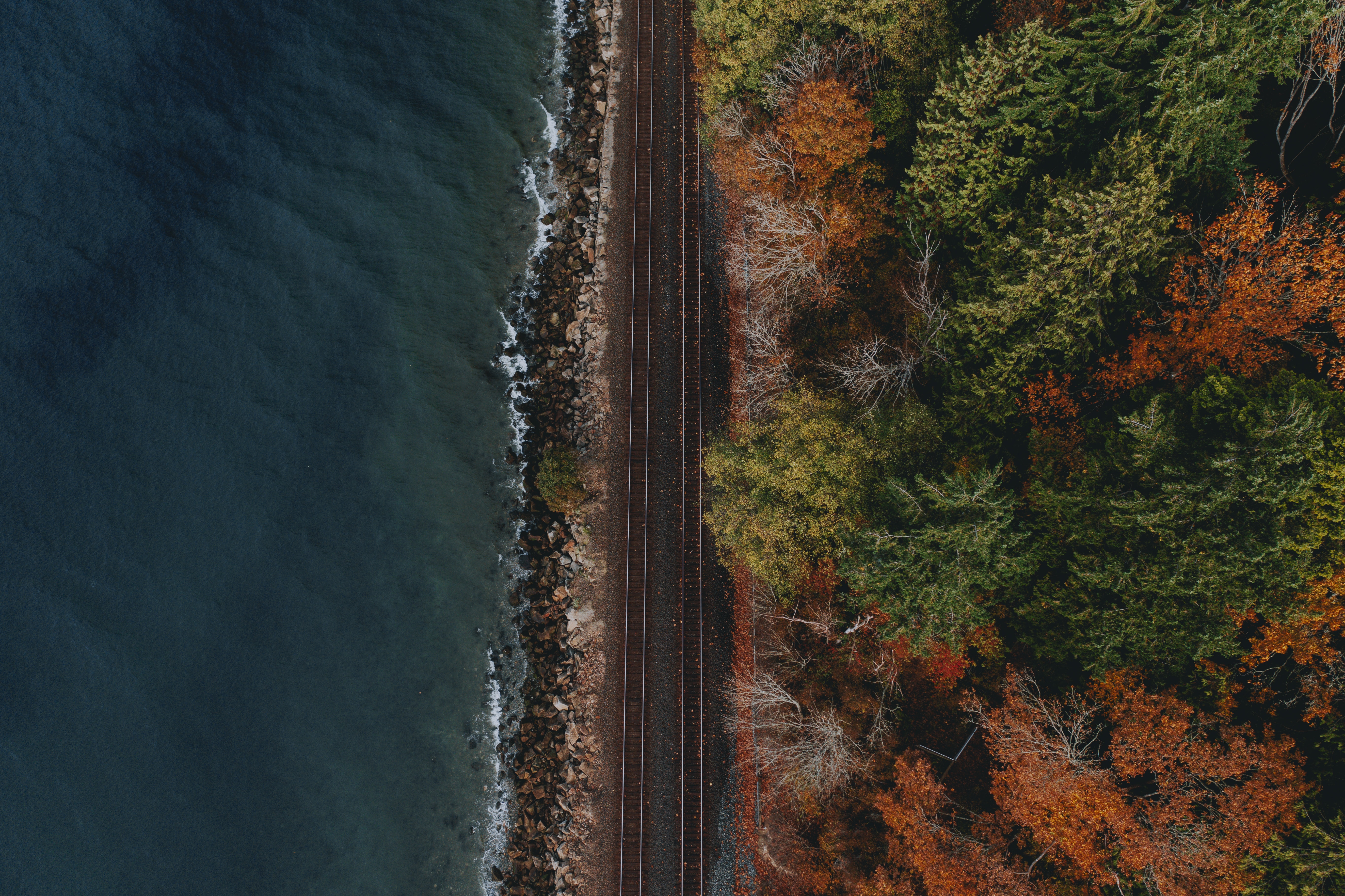 Free download wallpaper Nature, Water, Coast, View From Above, Forest, Railway on your PC desktop