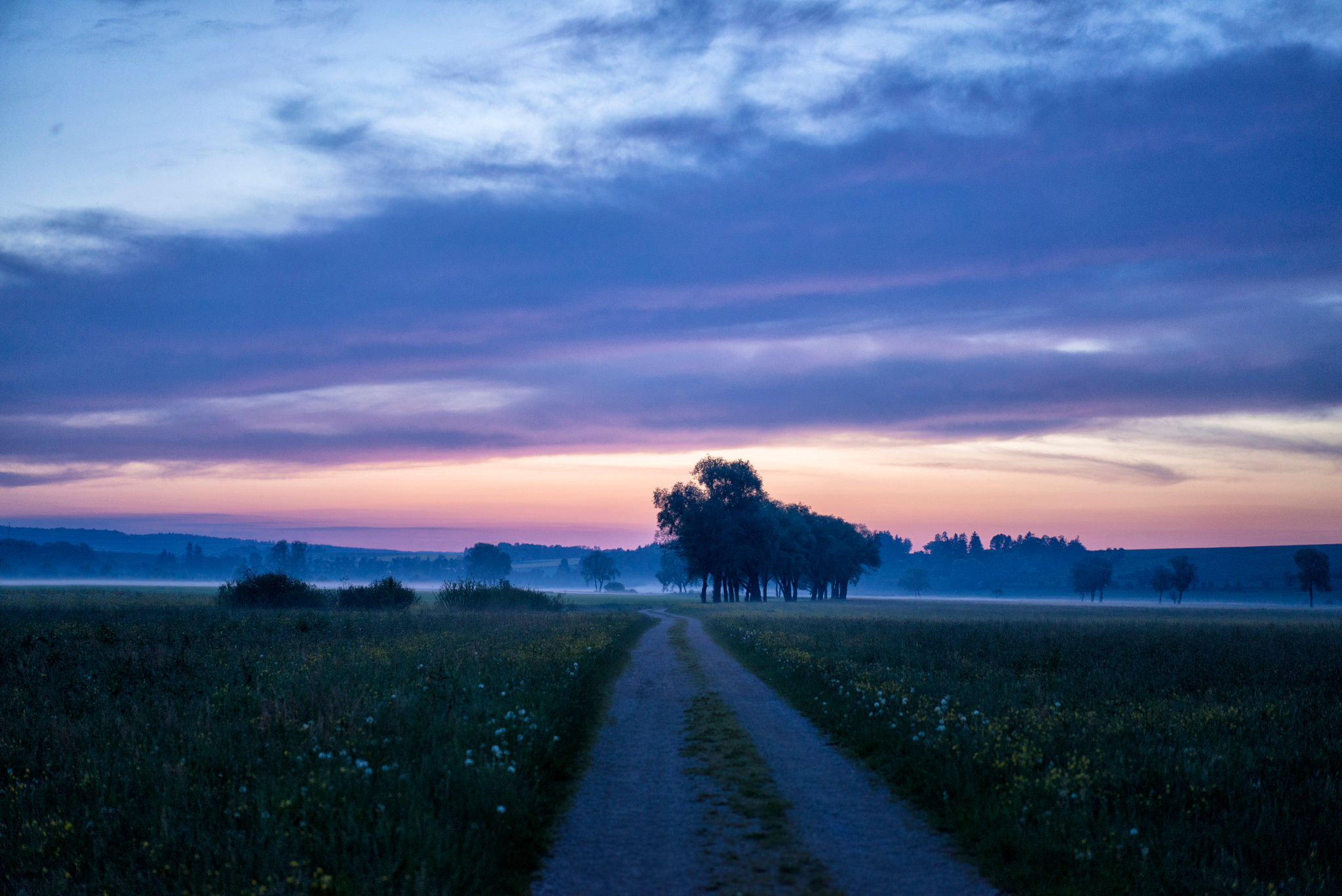 Download mobile wallpaper Landscape, Nature, Tree, Fog, Earth, Path, Evening, Spring for free.