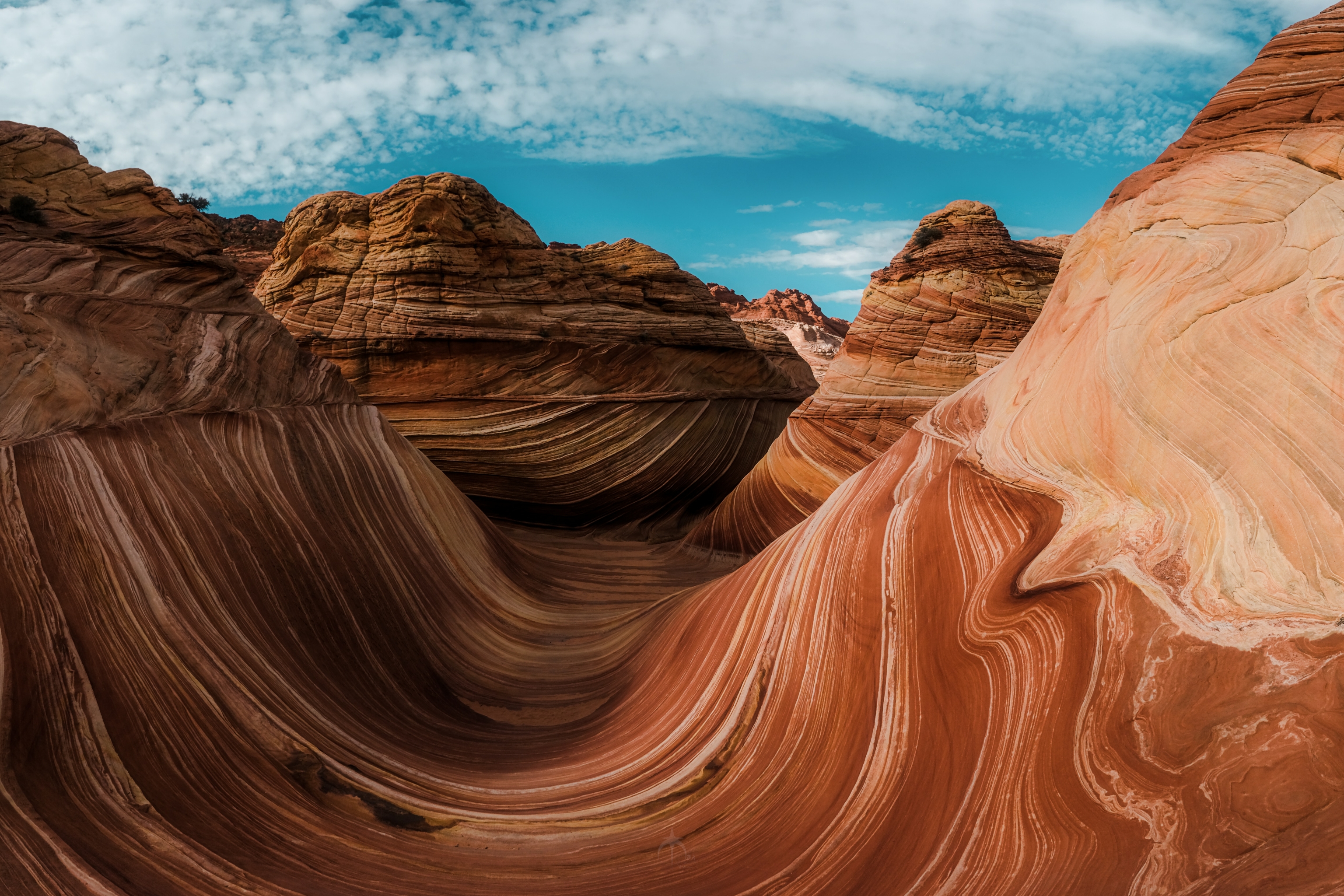 Download mobile wallpaper Canyon, Earth, Canyons, Arizona, Coyote Buttes for free.
